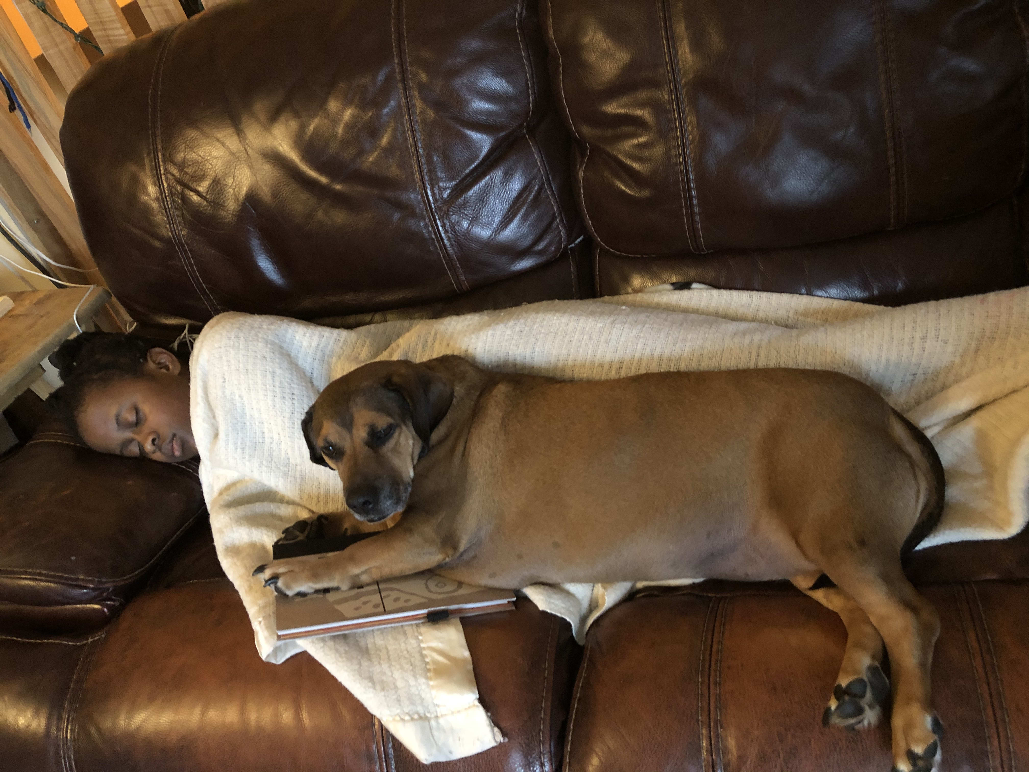 Good girl comforting our sick little one