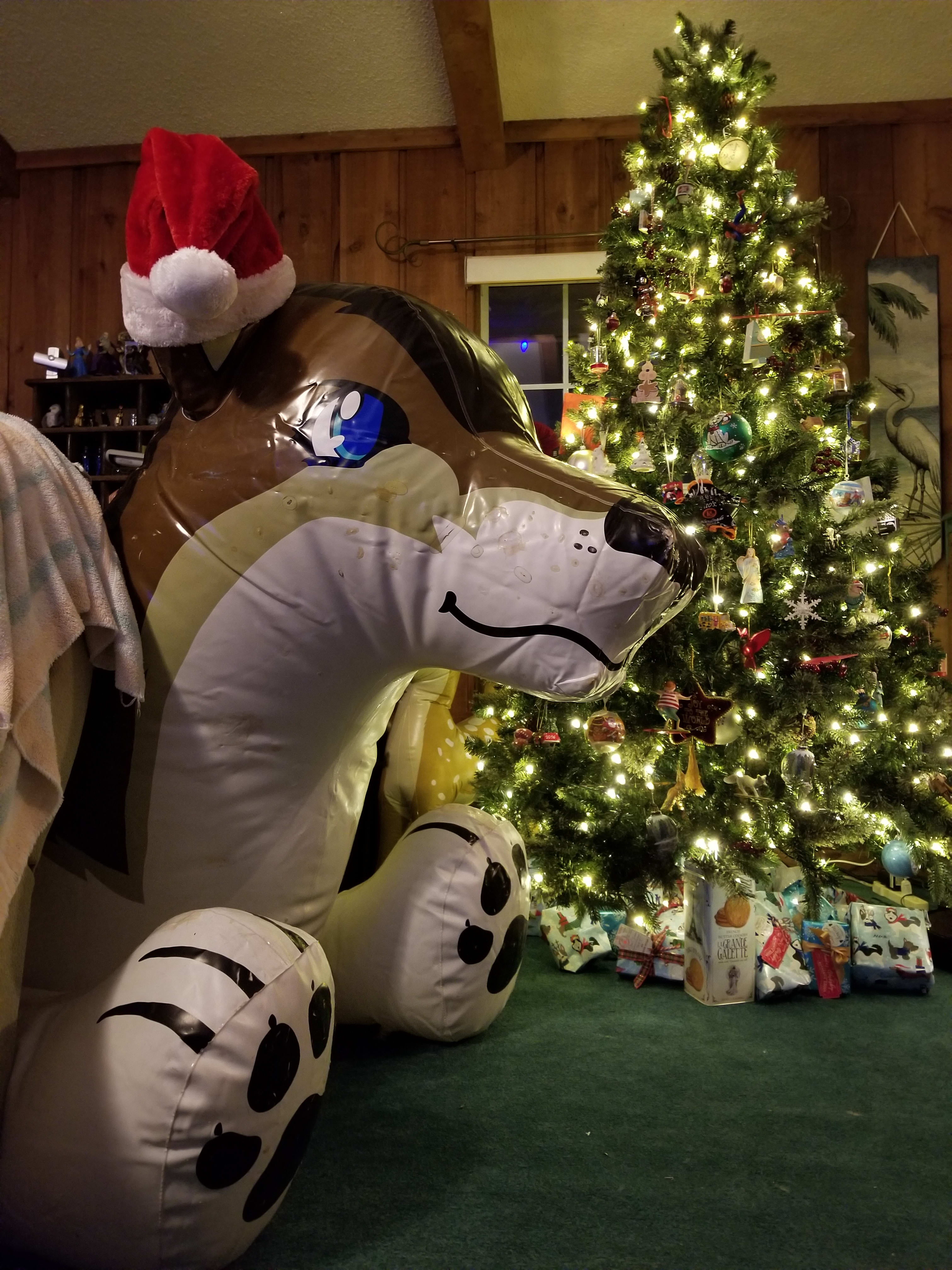 Warm and dry by the tree.