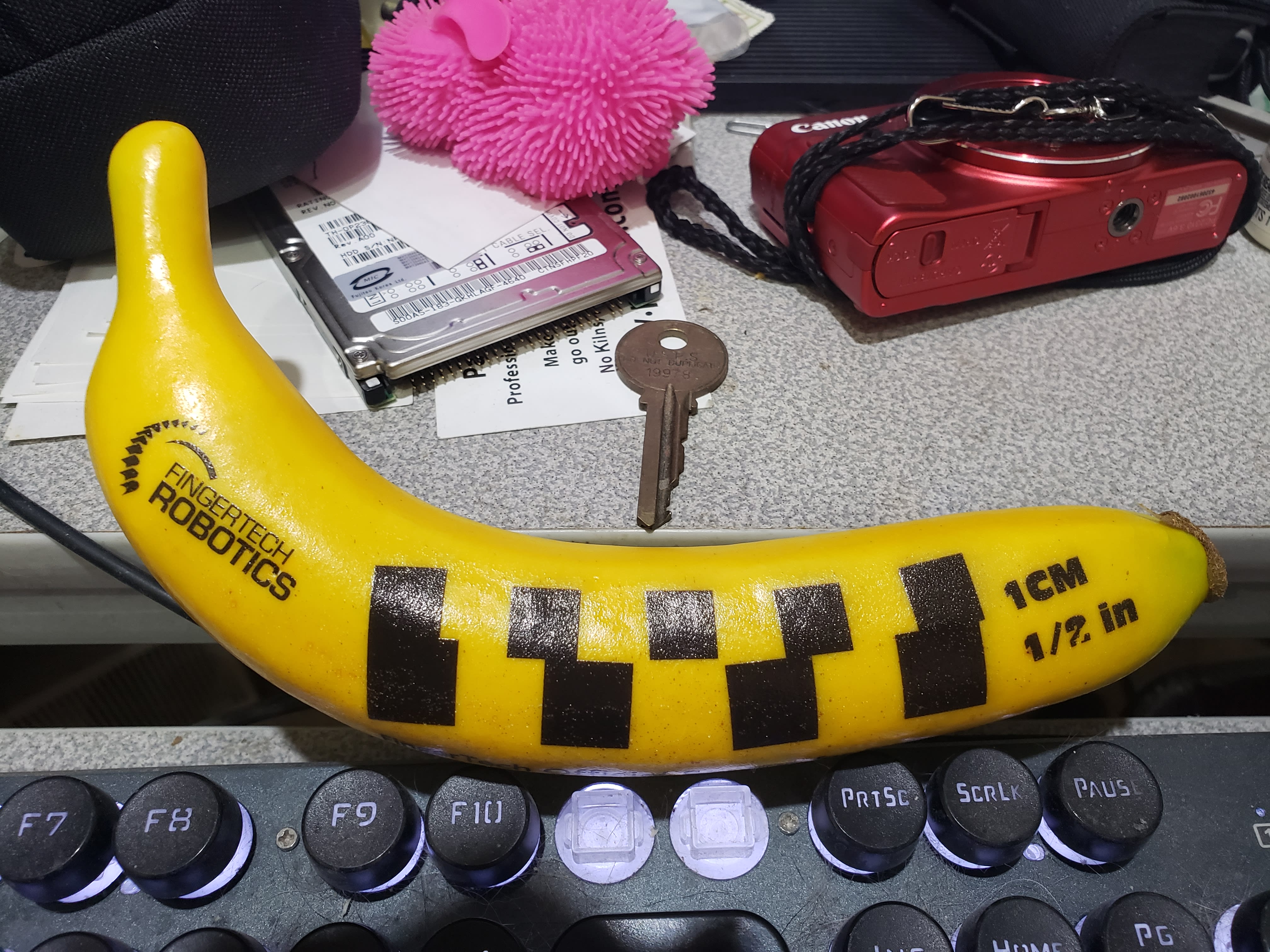 Banana for scale, with scale marked