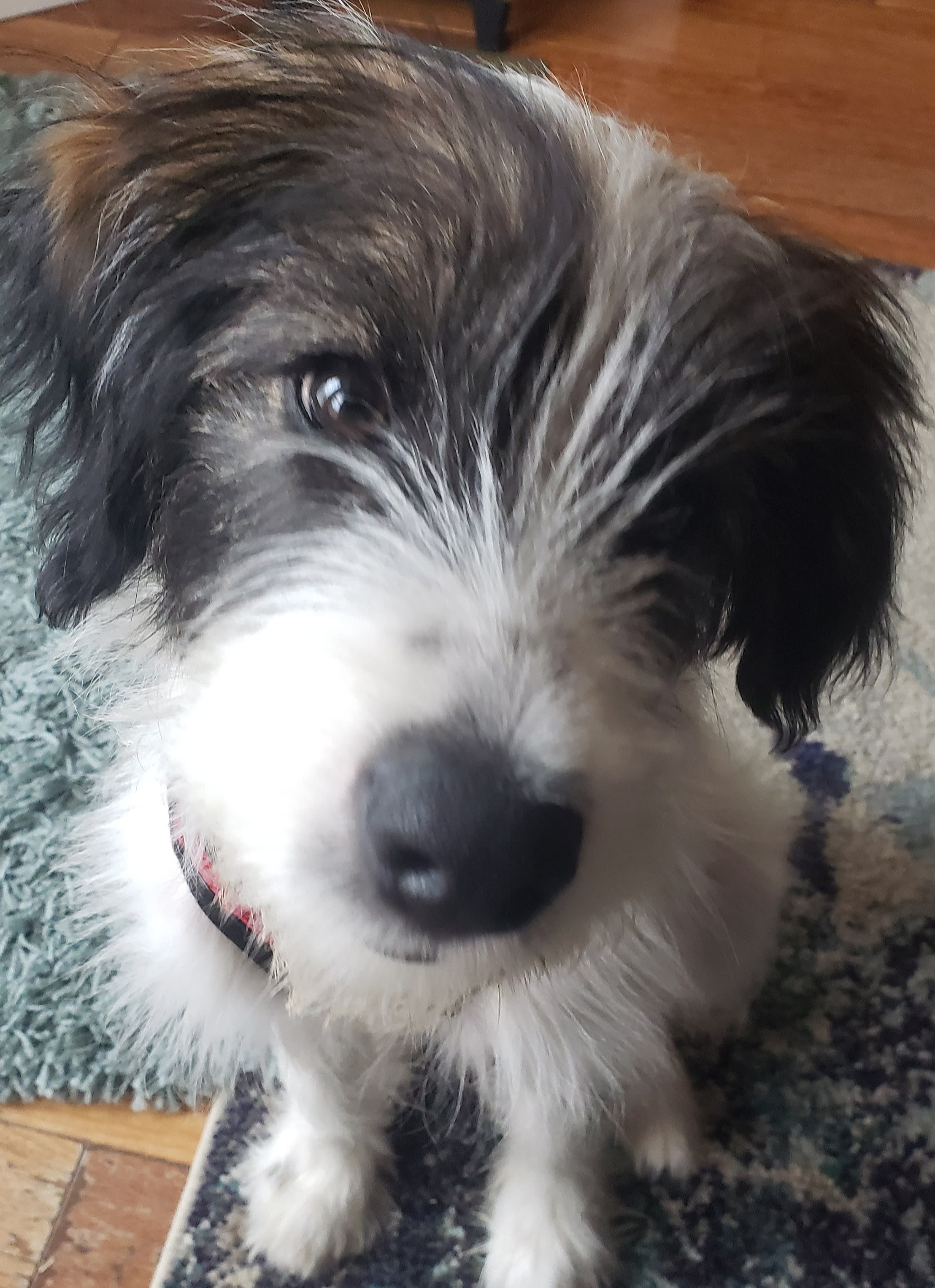 enter image description here