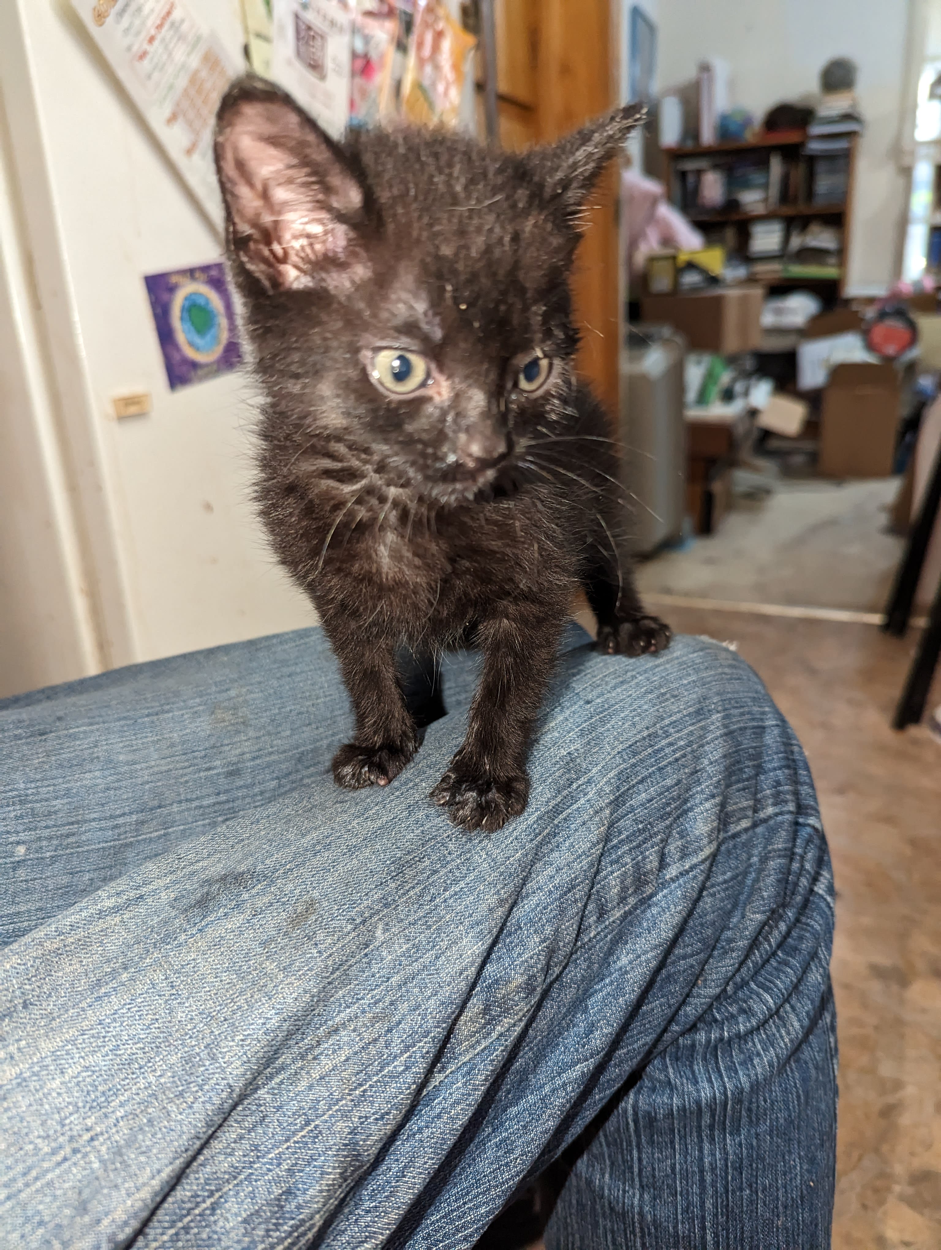 enter image description here