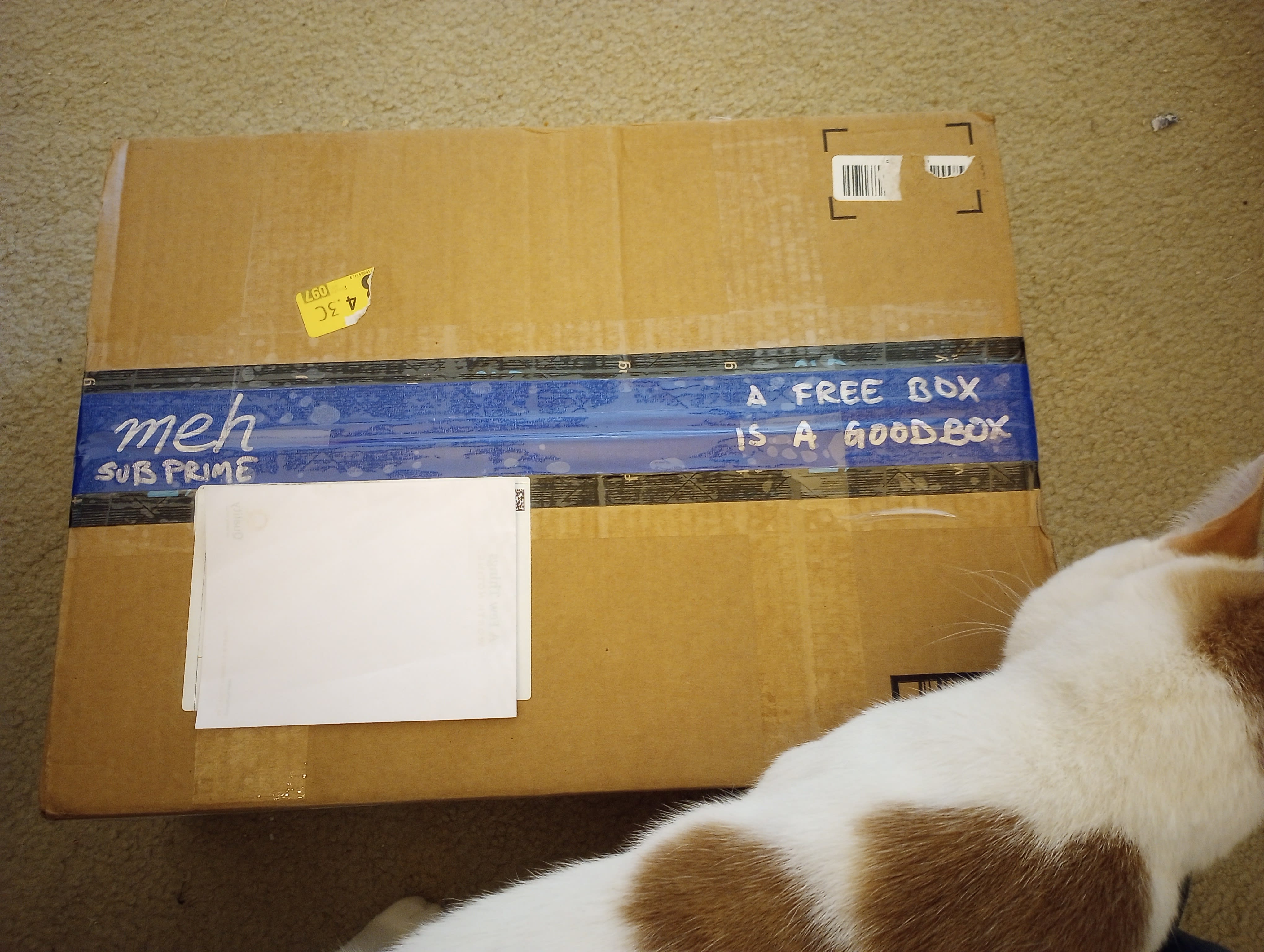 The unopened box! My cats agree that all boxes are very fine boxes.