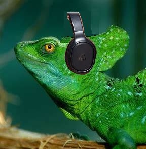 What did you say?  You sound like white noise.