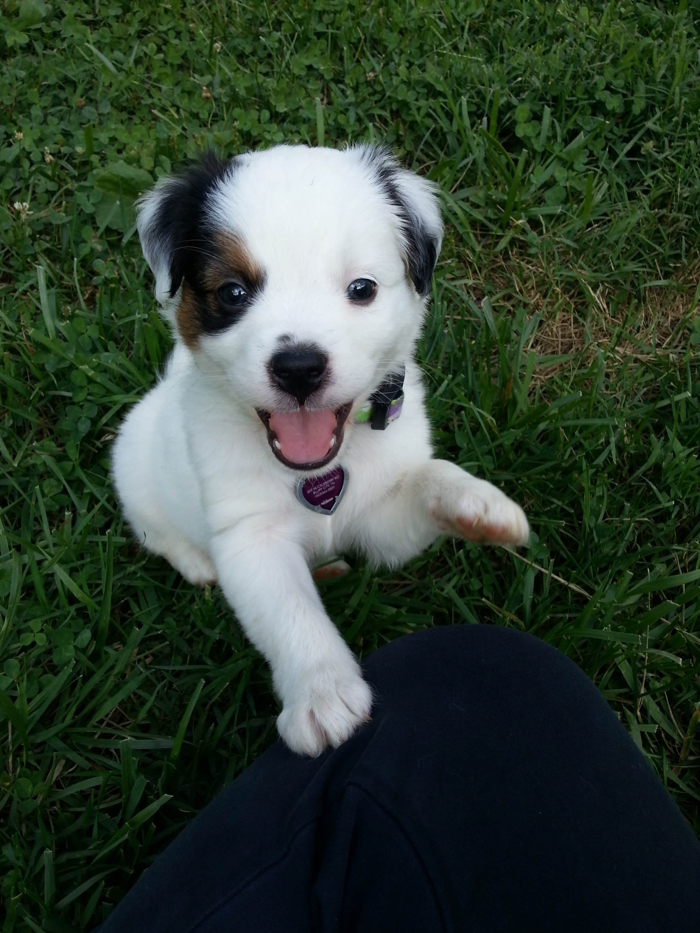 enter image description here