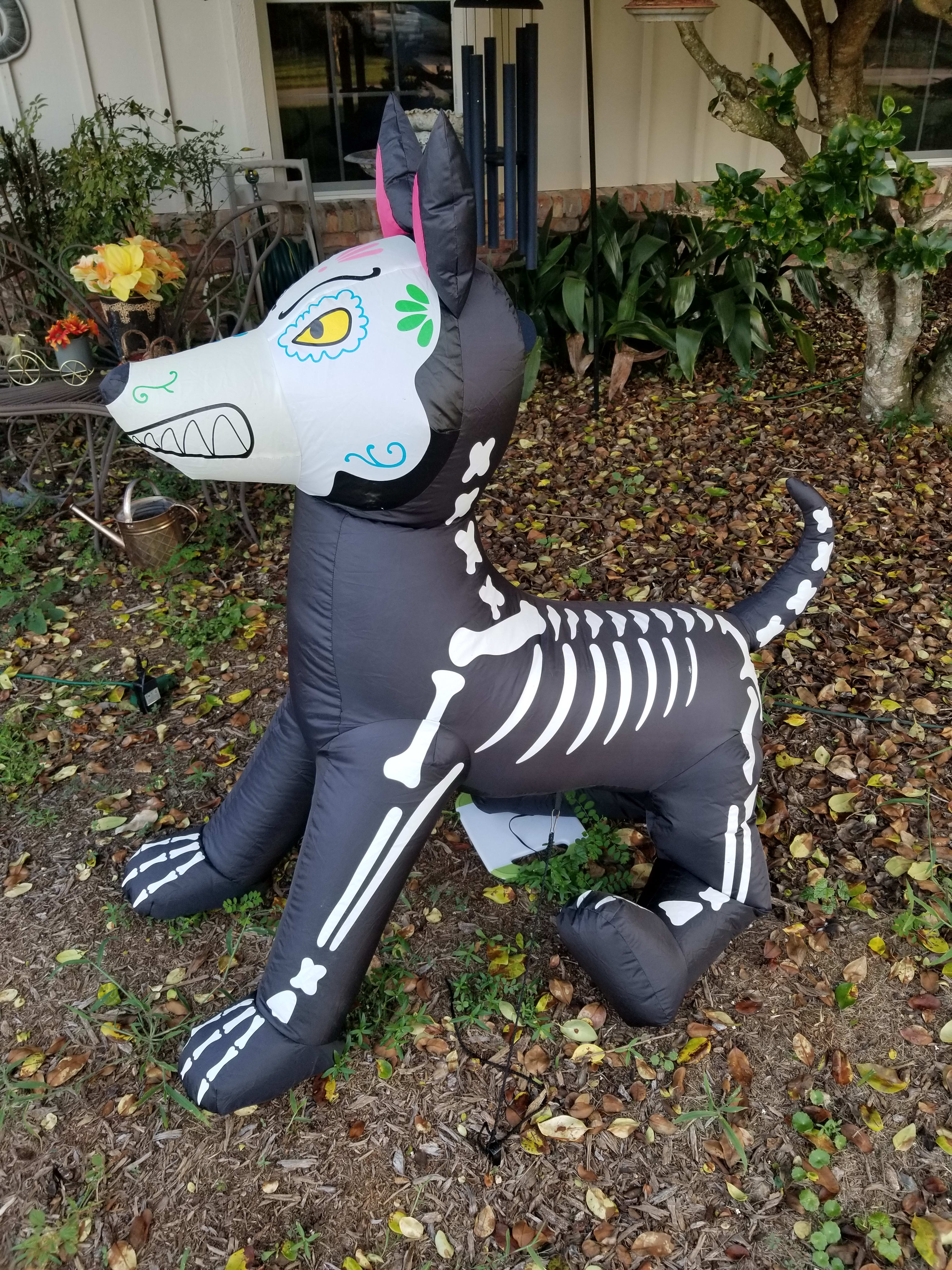 He squeaks when you squeeze him!