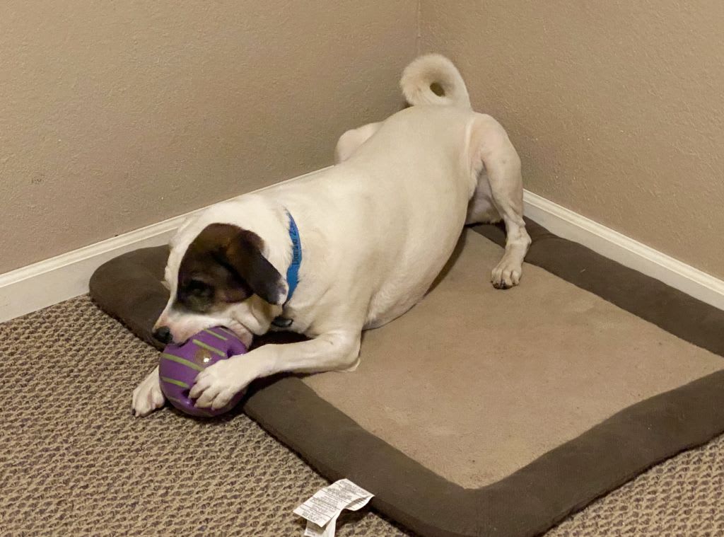 Dis my ball get your own