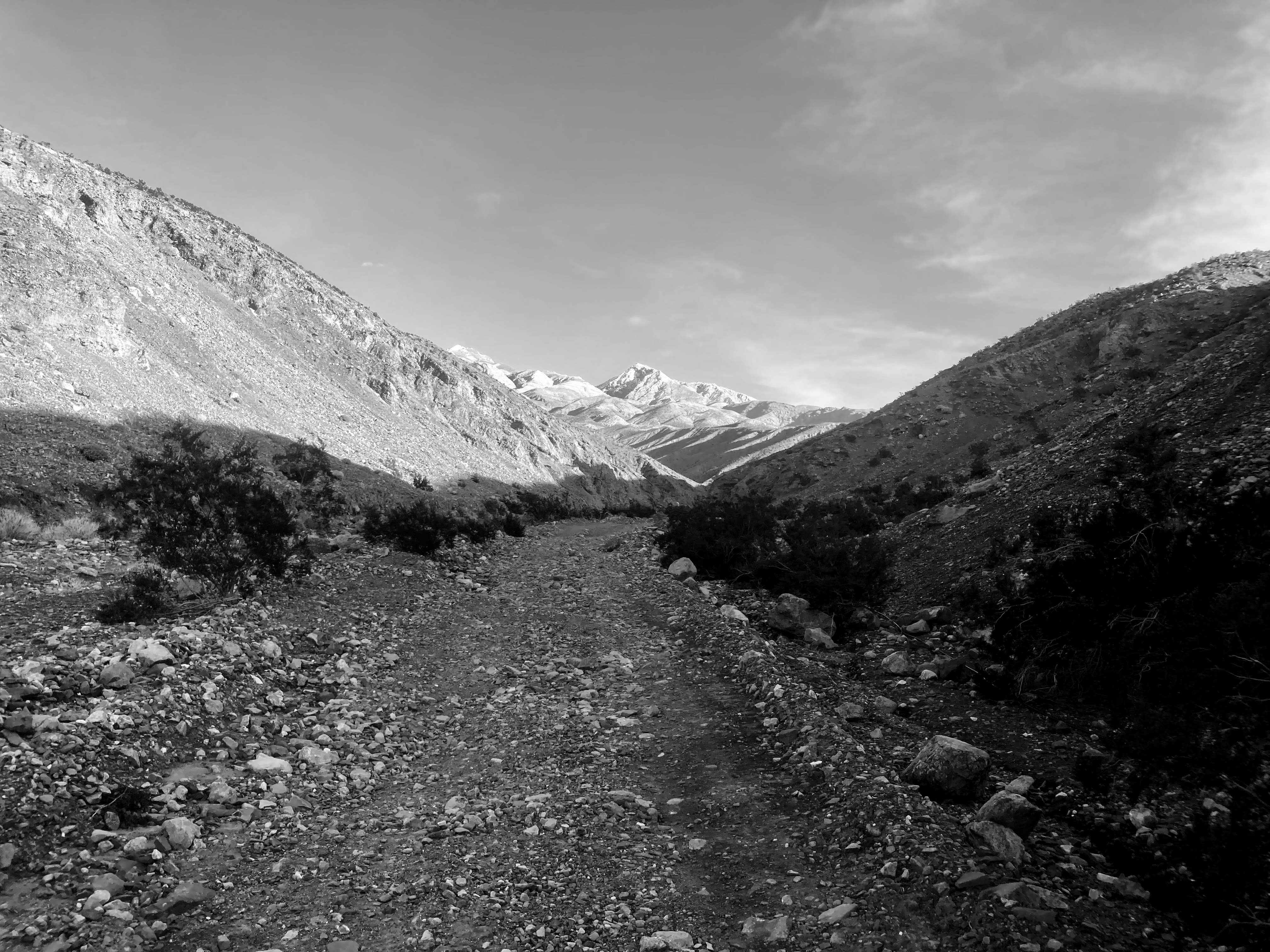  Pleasant Canyon in the Panamint Range