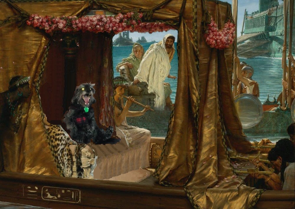 Bandit and Marc Antony