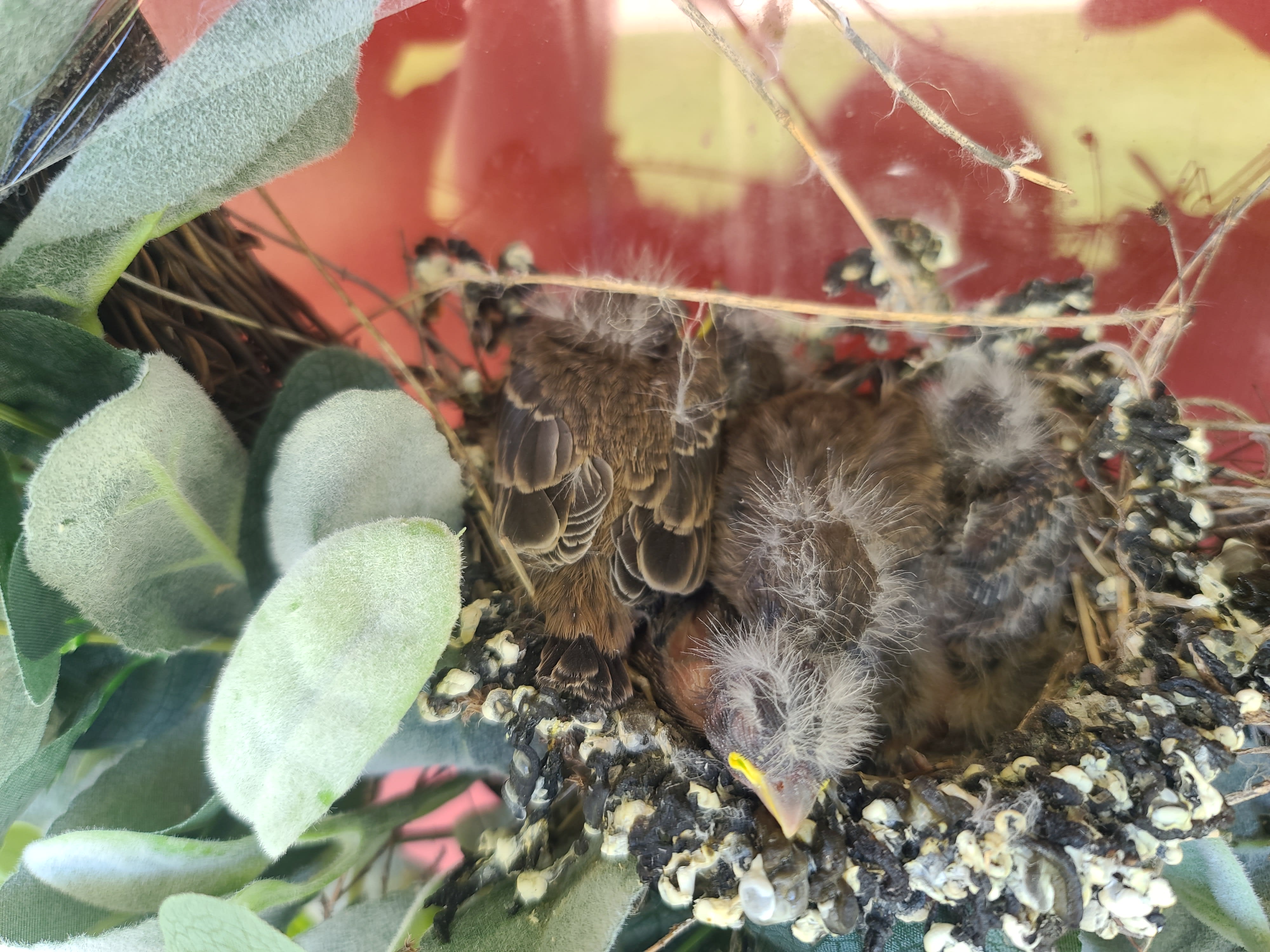 enter image description here