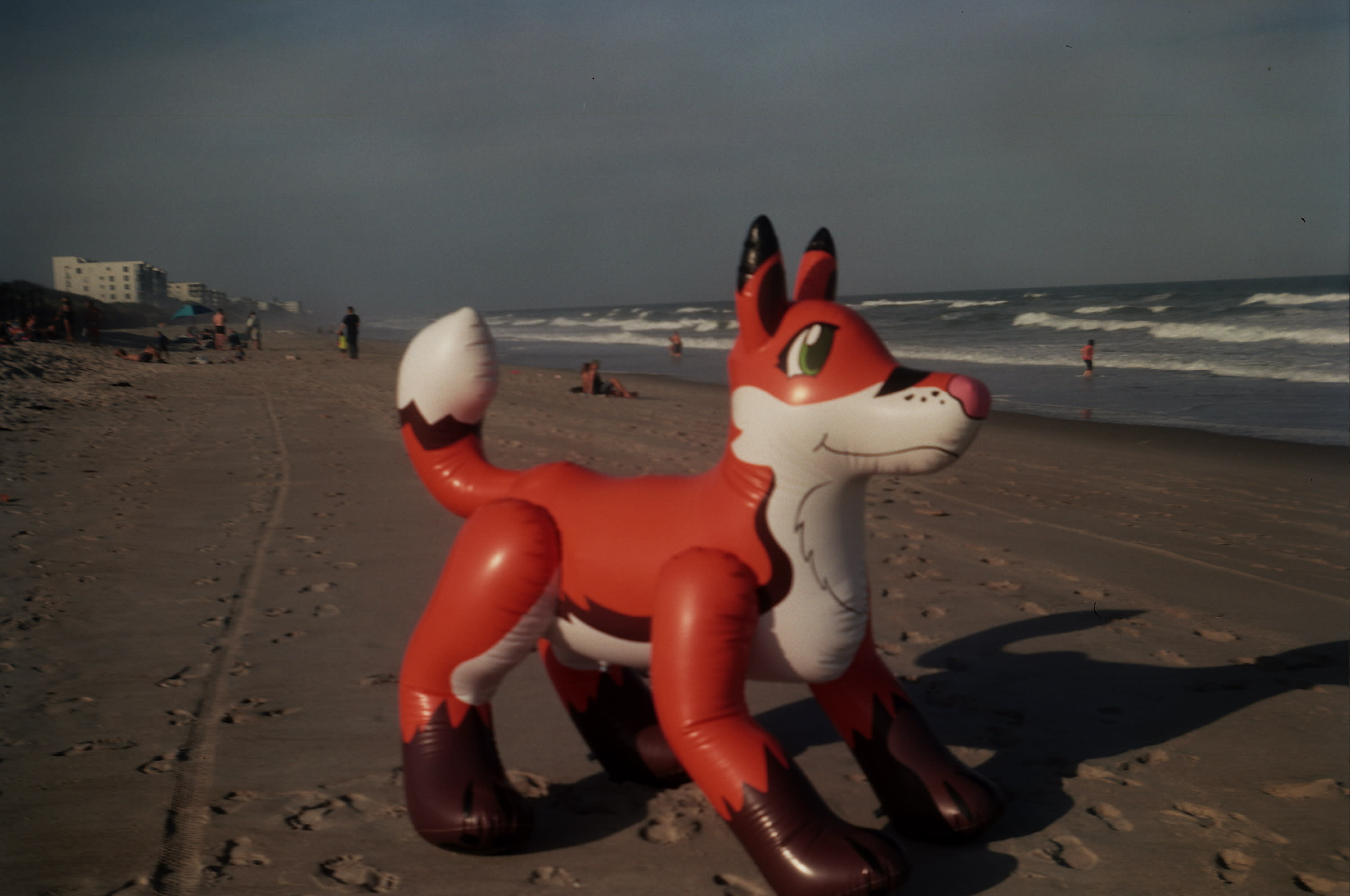 Frisco on Cocoa Beach