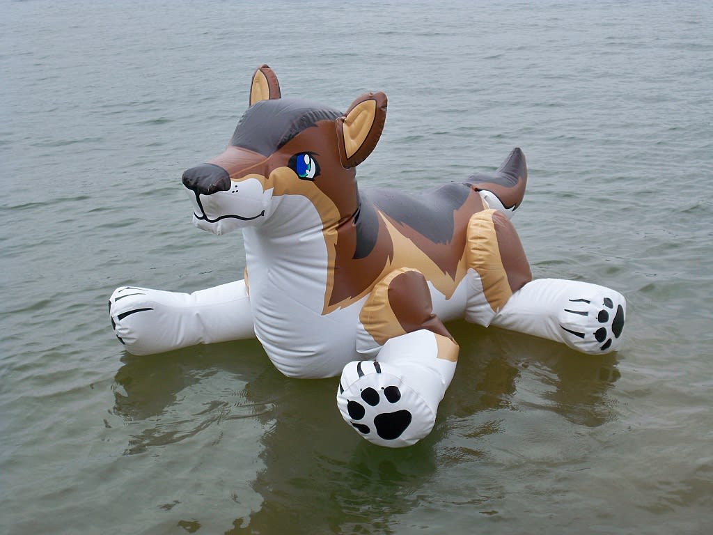 He's a natural on the water!