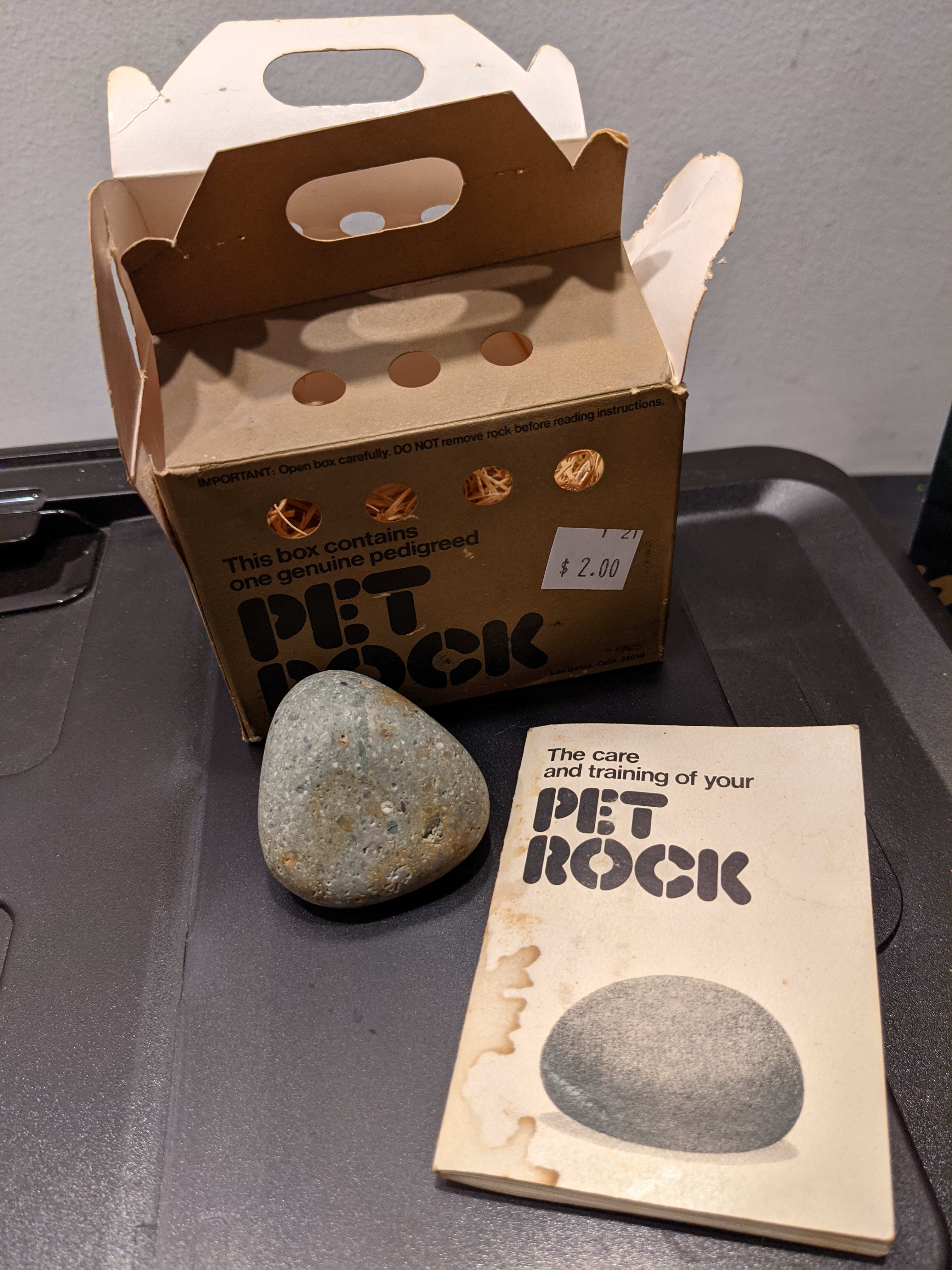 pet rock, lightly damaged packaging
