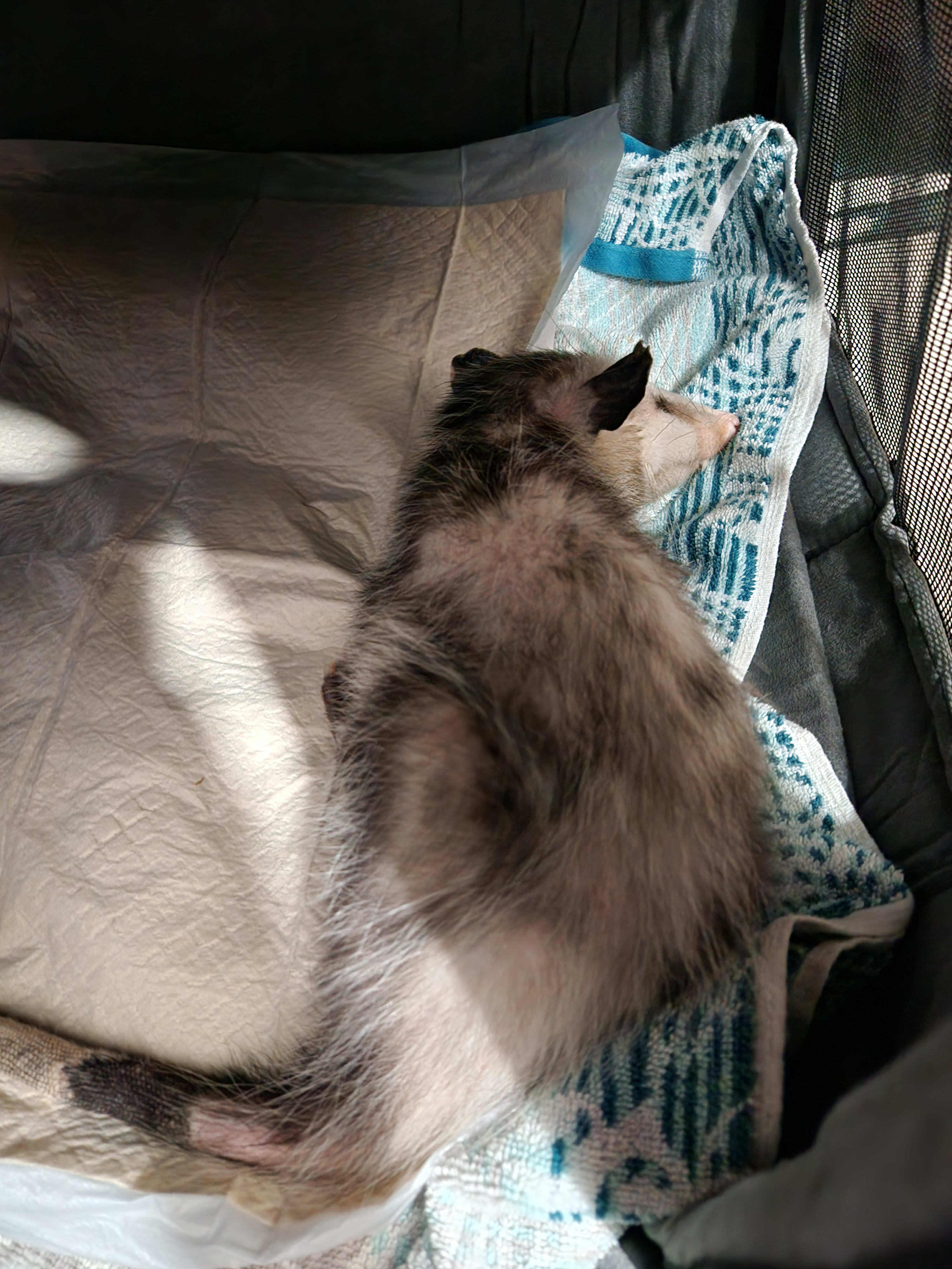 View through the front door