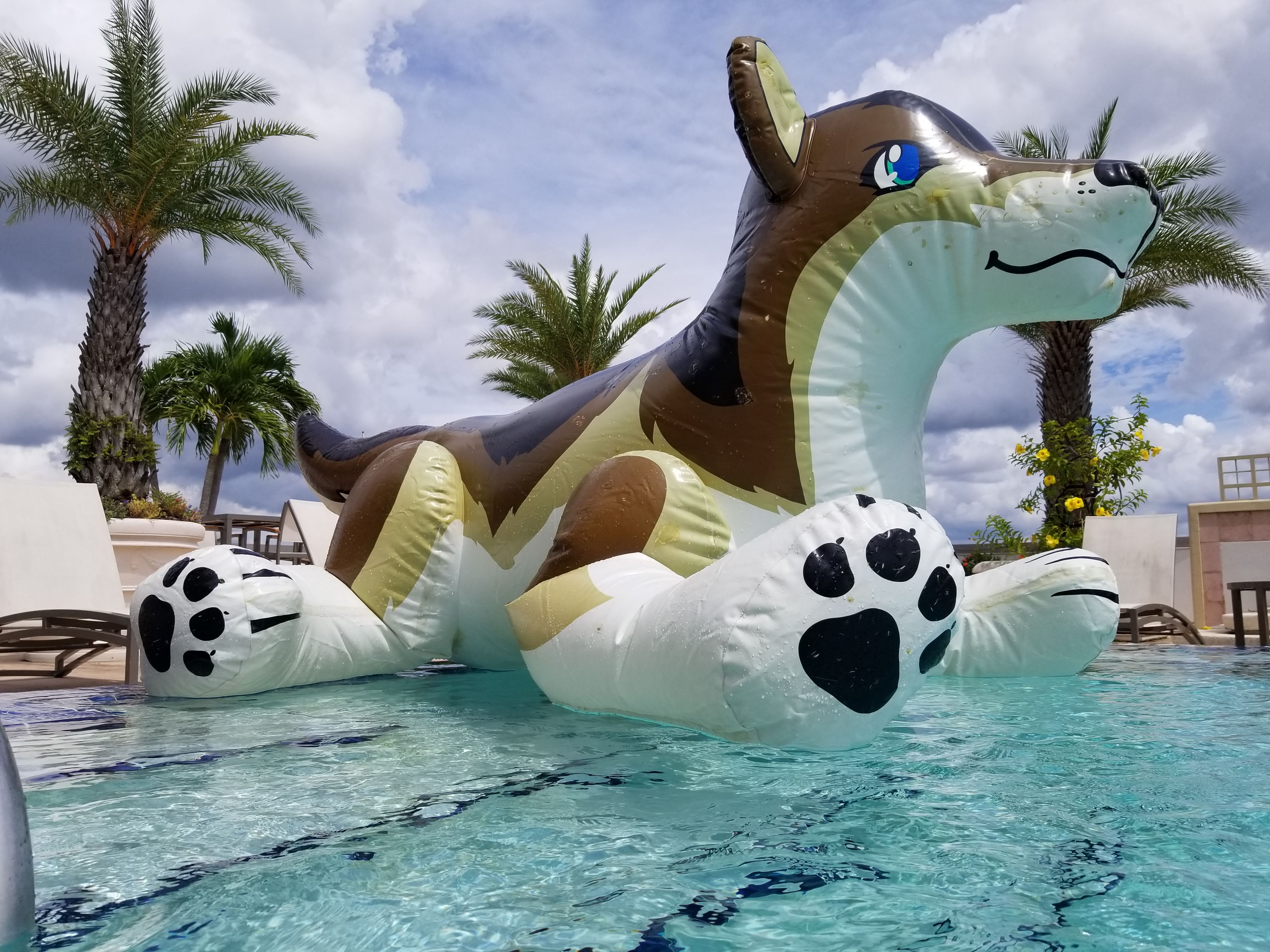 In this case, the rooftop pool at Orlando International Airport!