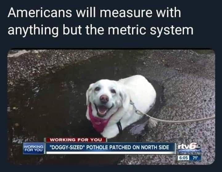 Americans will go to any length to avoid the metric system, such as by measuring pothole size in dogs
