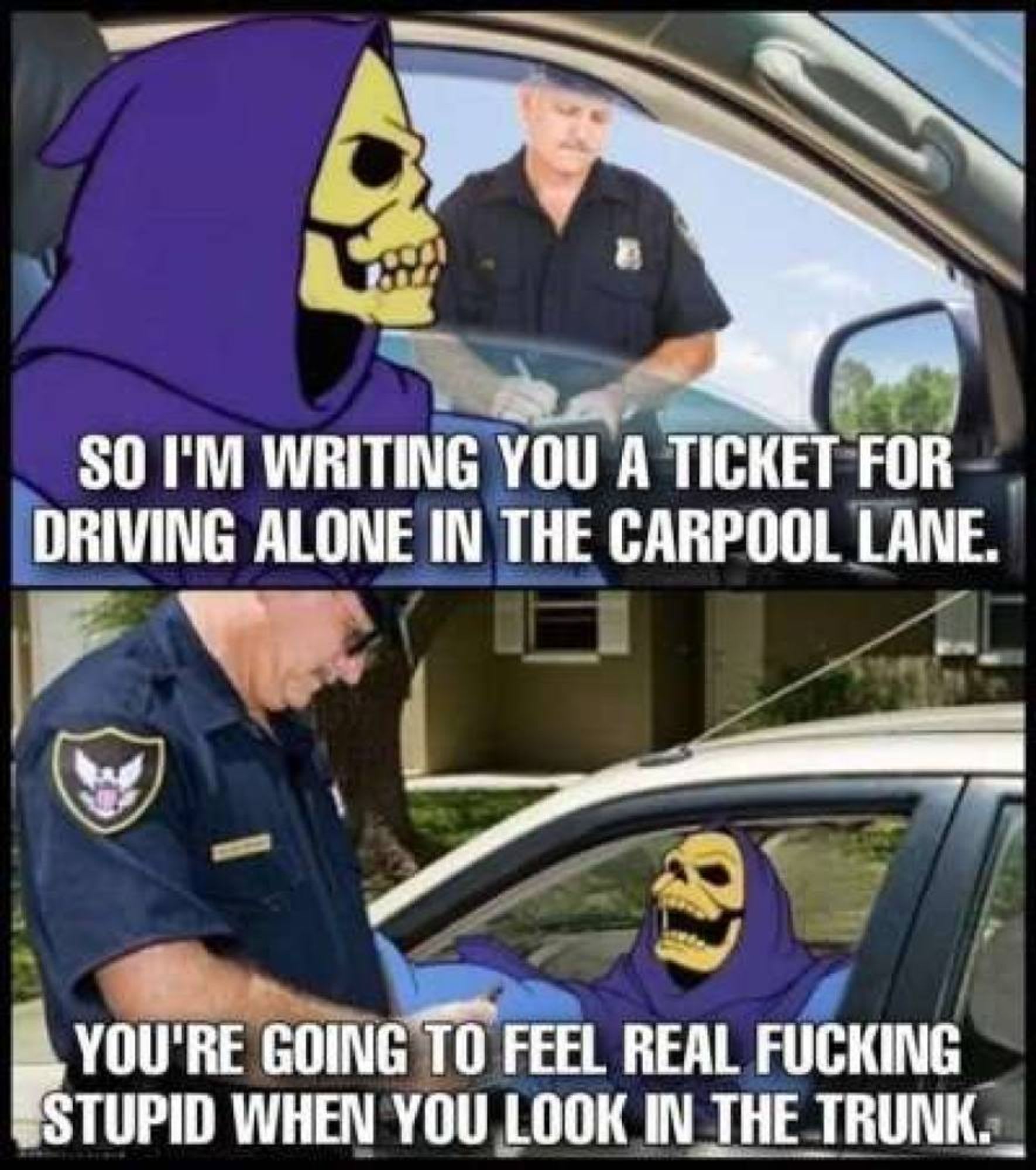 skeletor meme