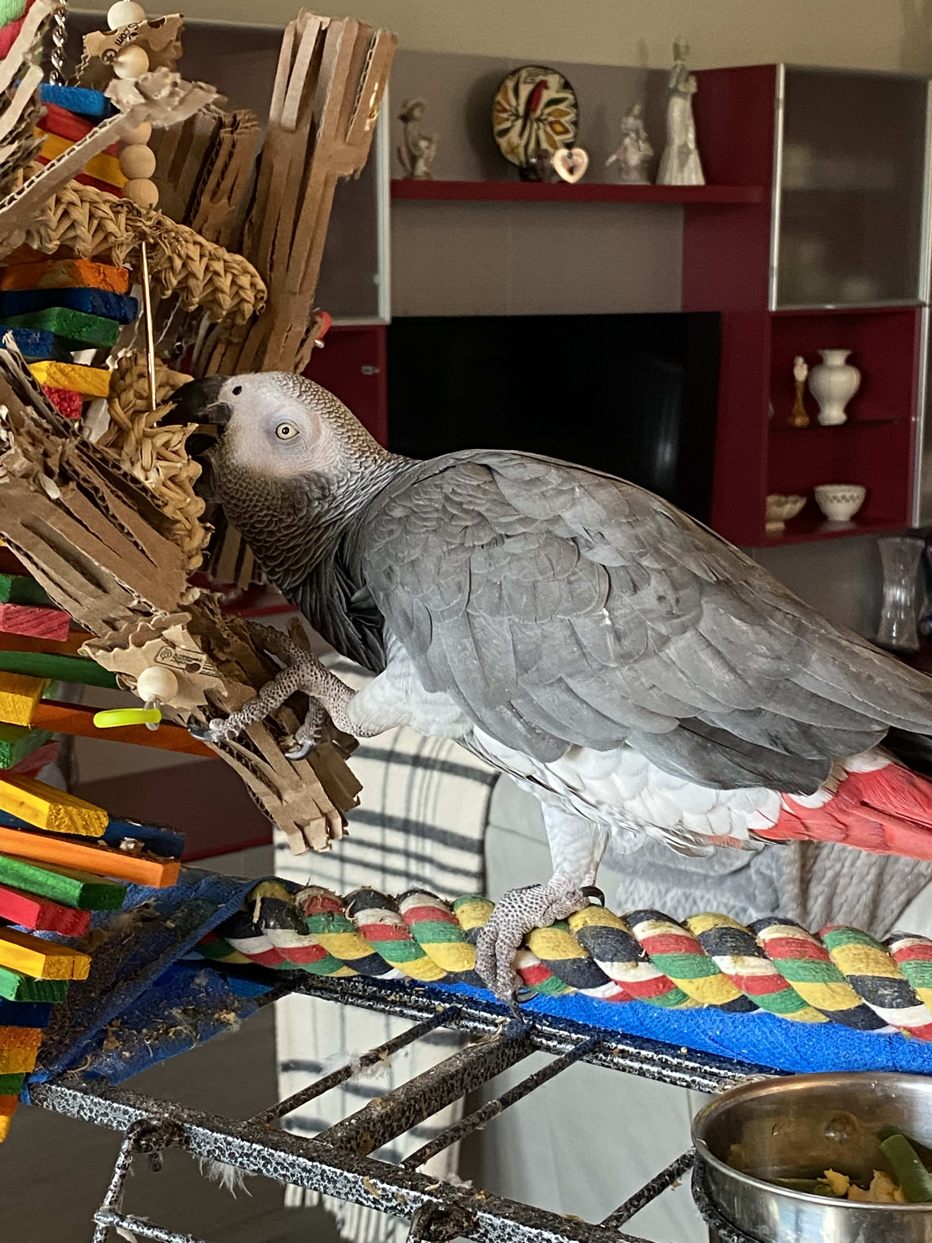 enter image description here