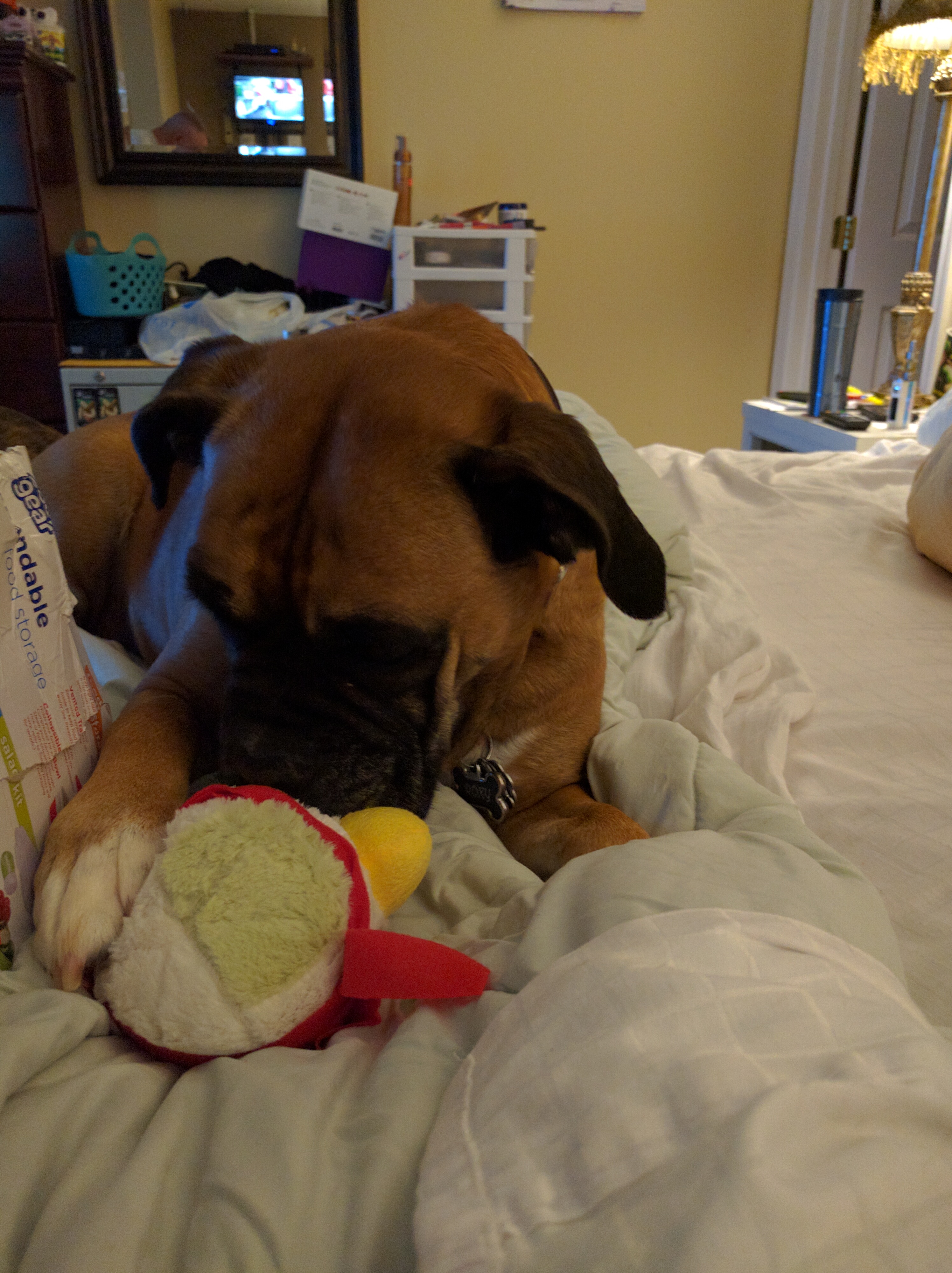 enter image description here