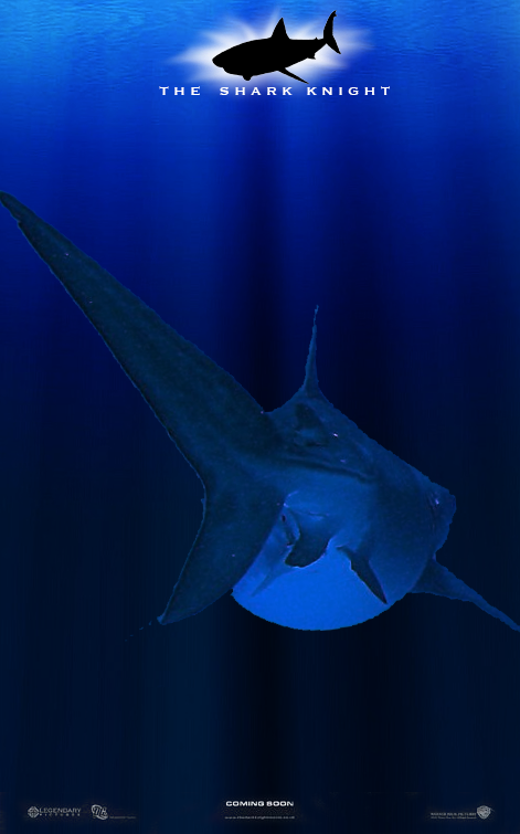 The Shark Knight