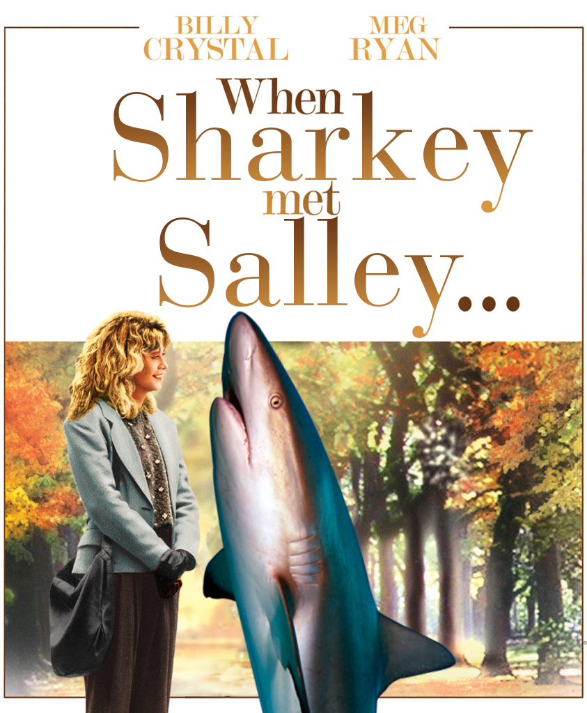 When Sharkey Met Sally