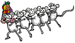 Conga-rats!!!
