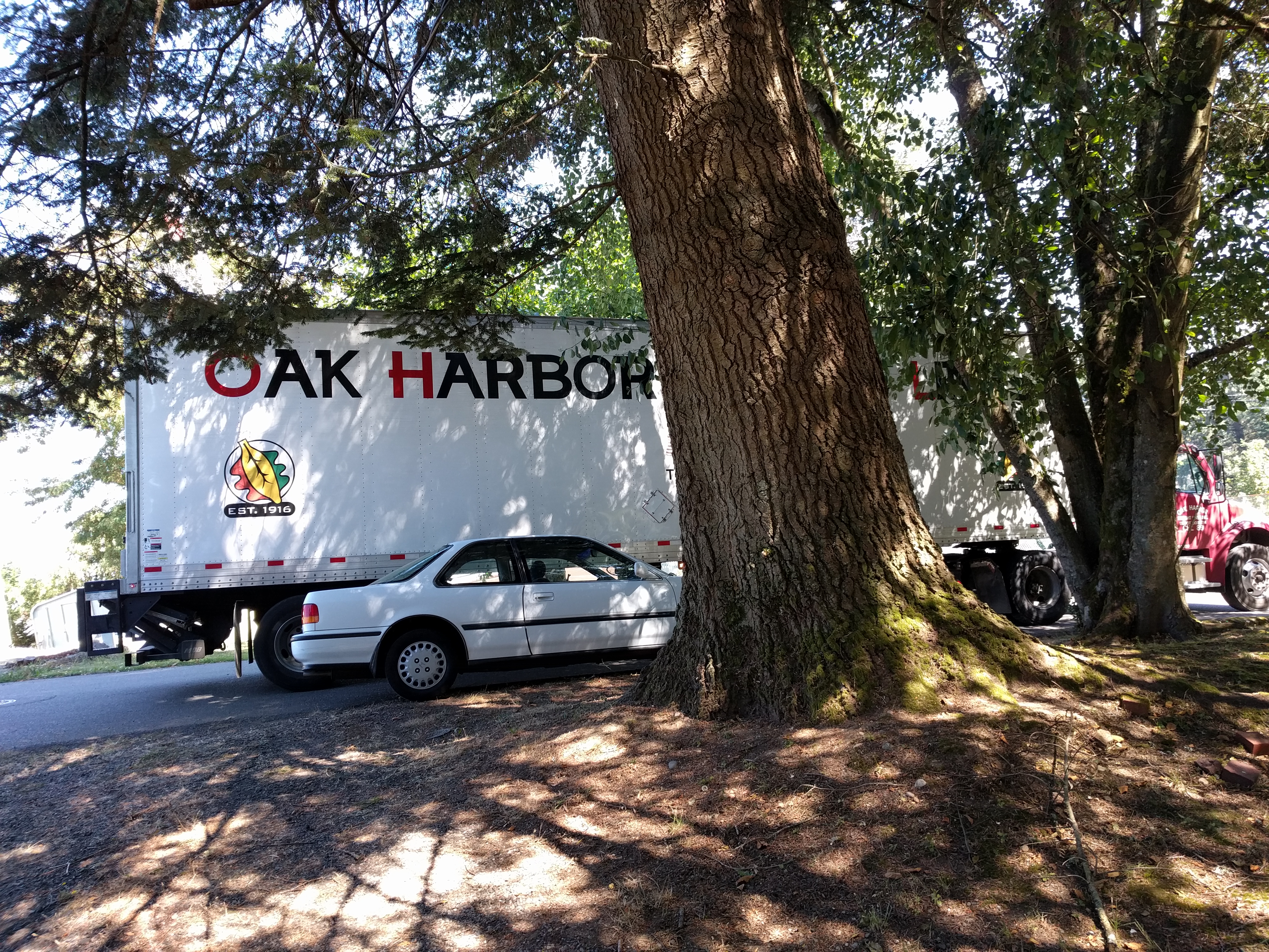 Deliverer of mediocrity