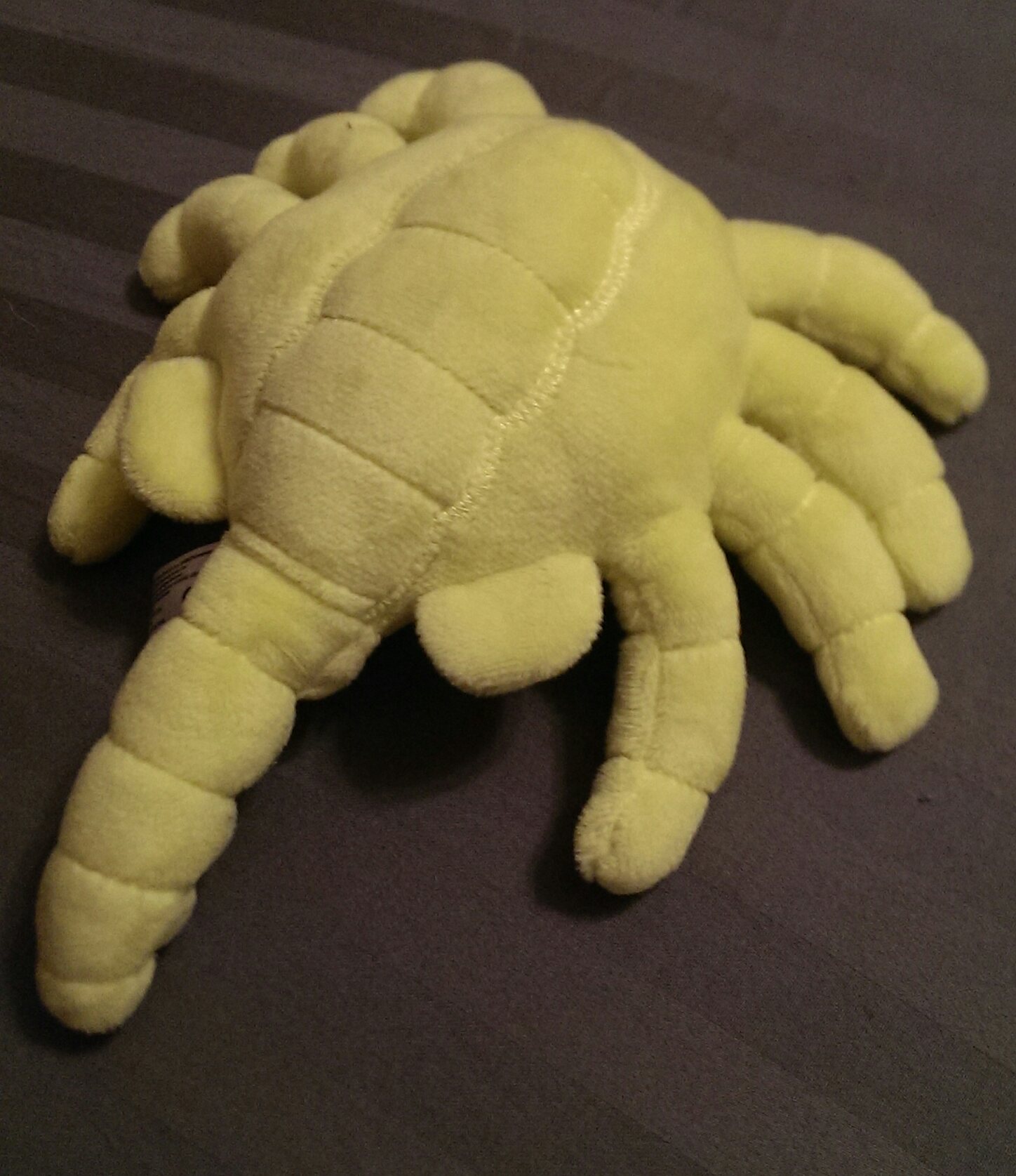 facehugger