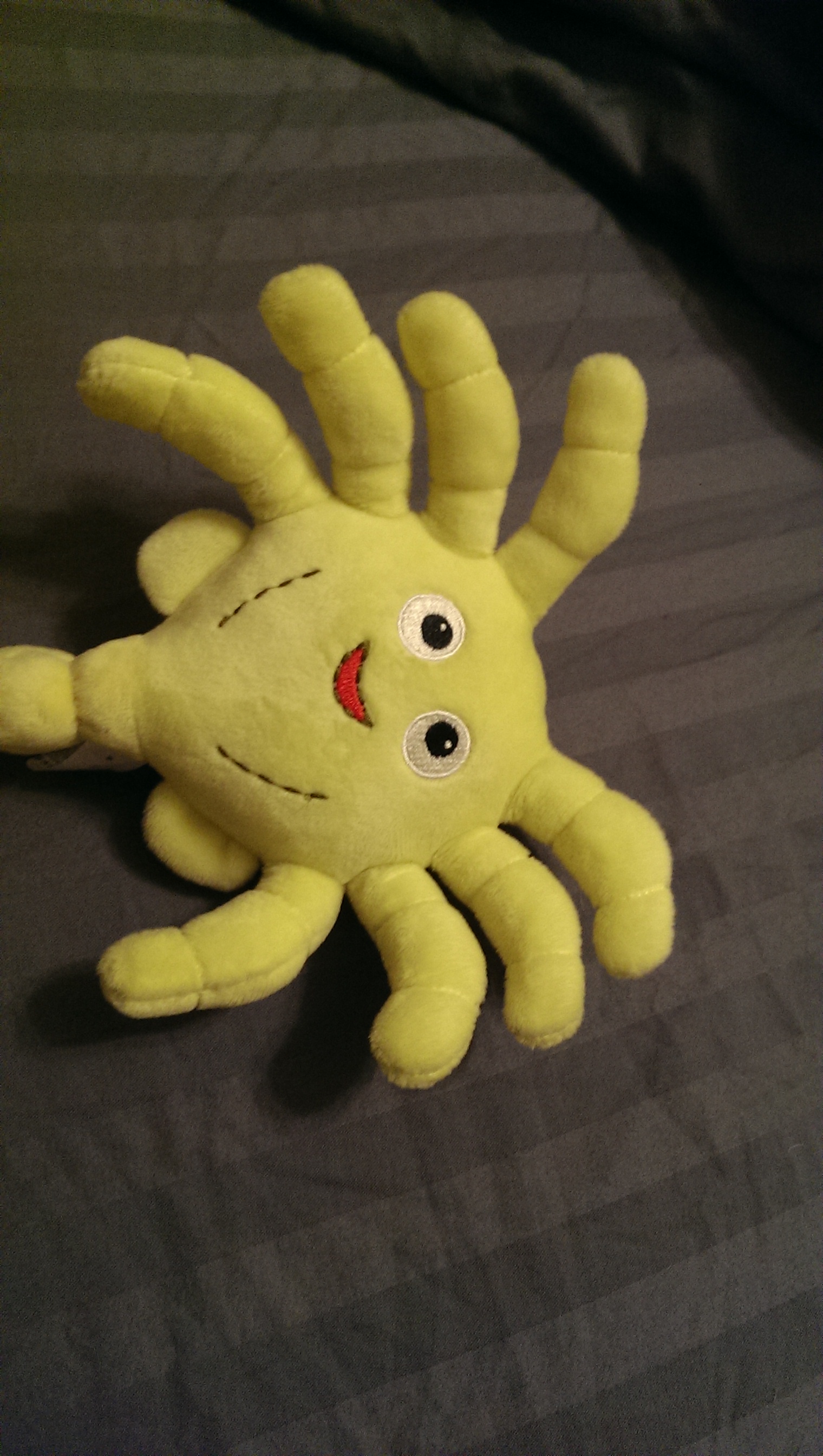 dead facehugger
