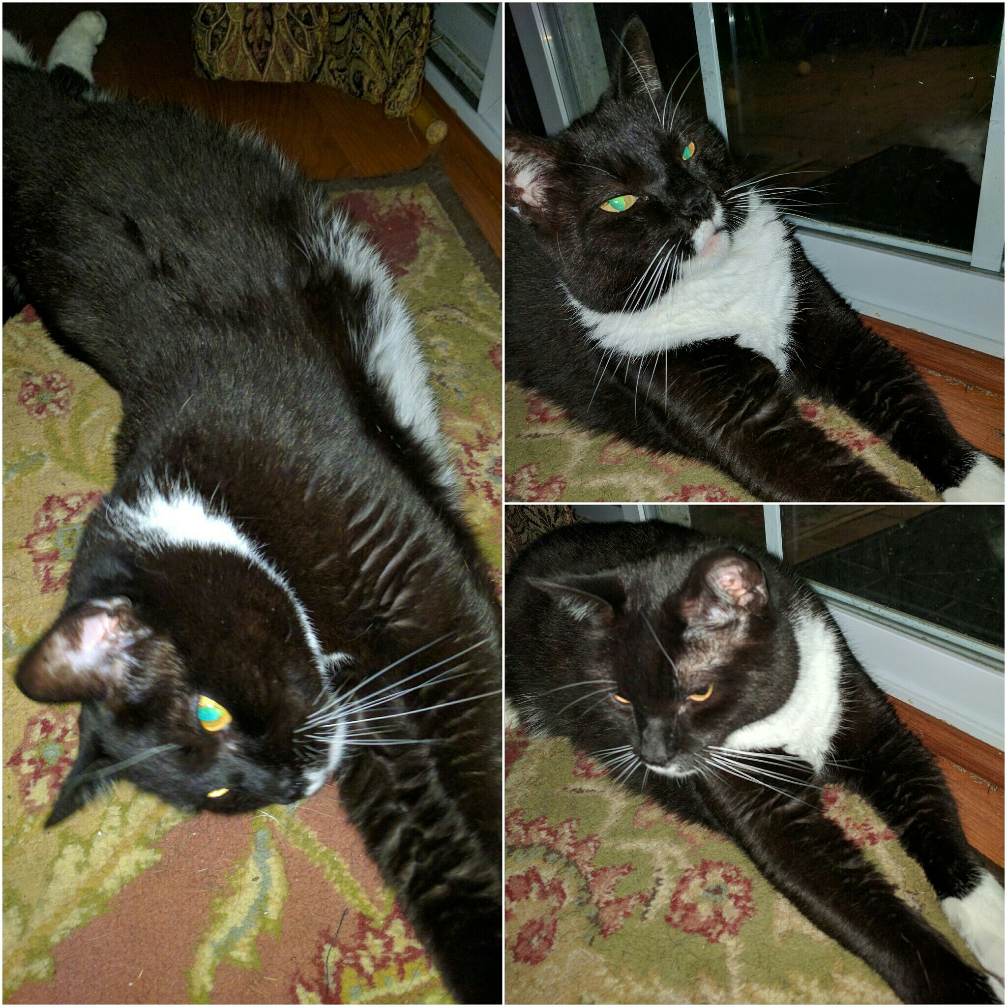 enter image description here