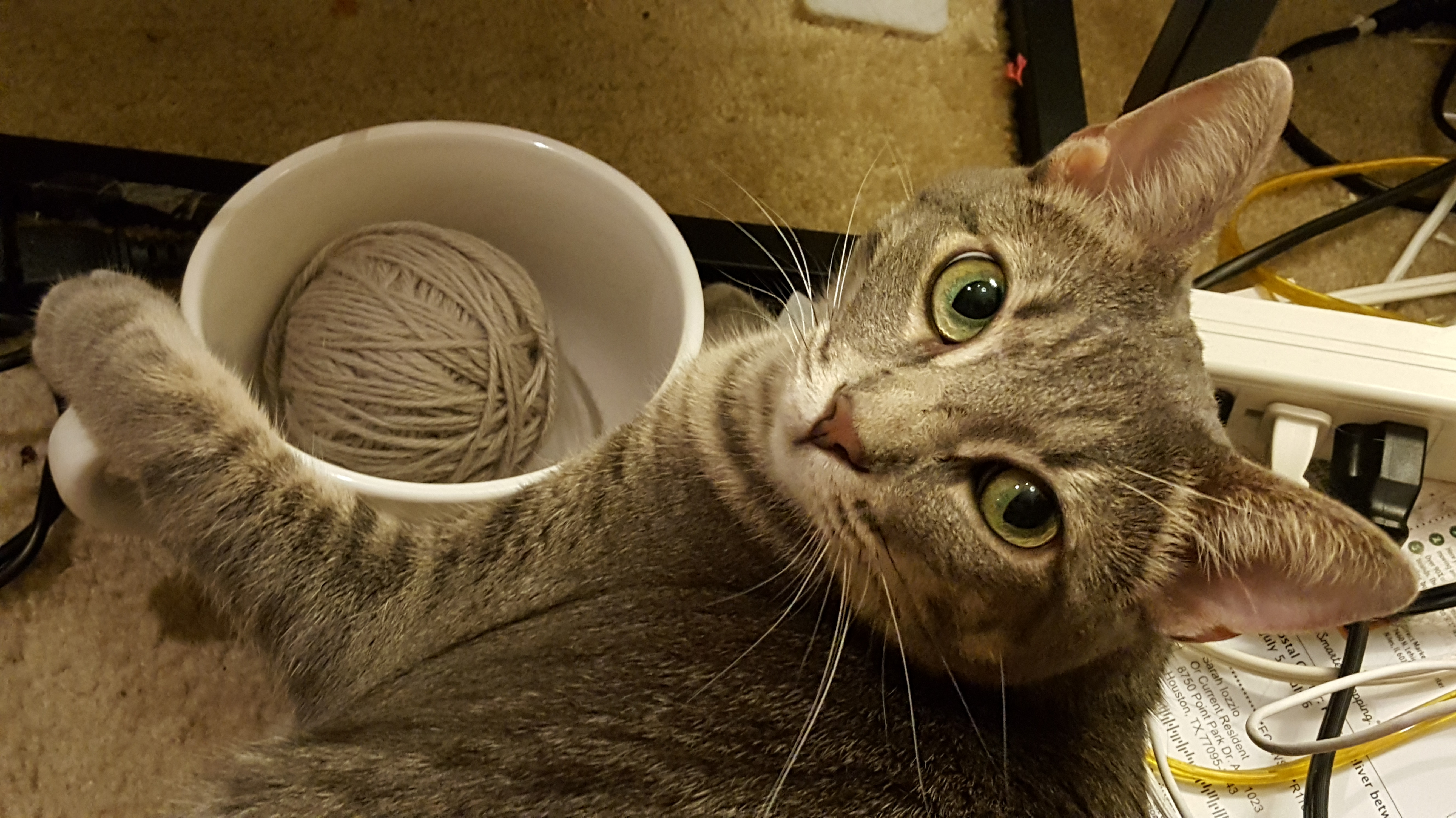 enter image description here