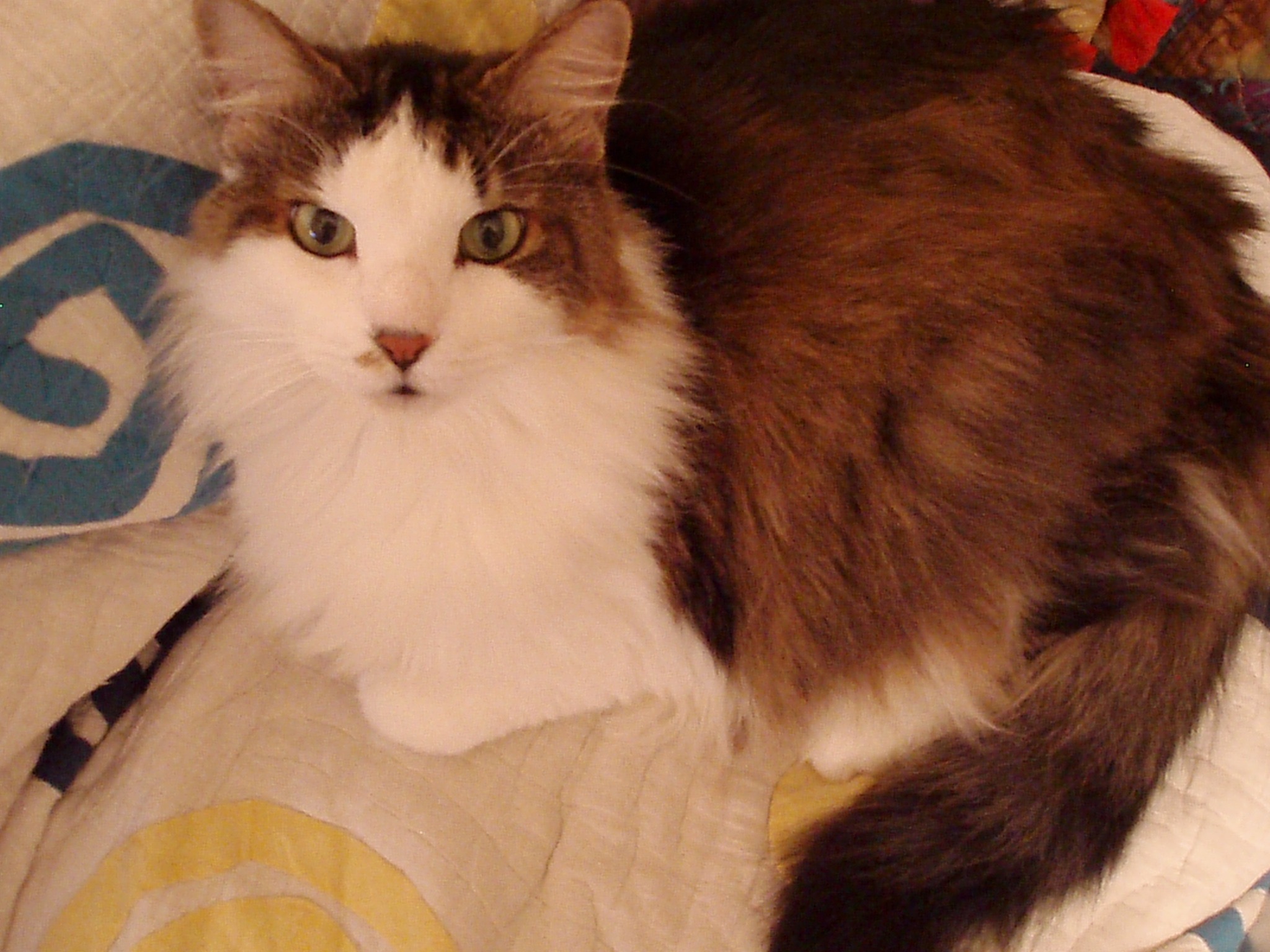 enter image description here