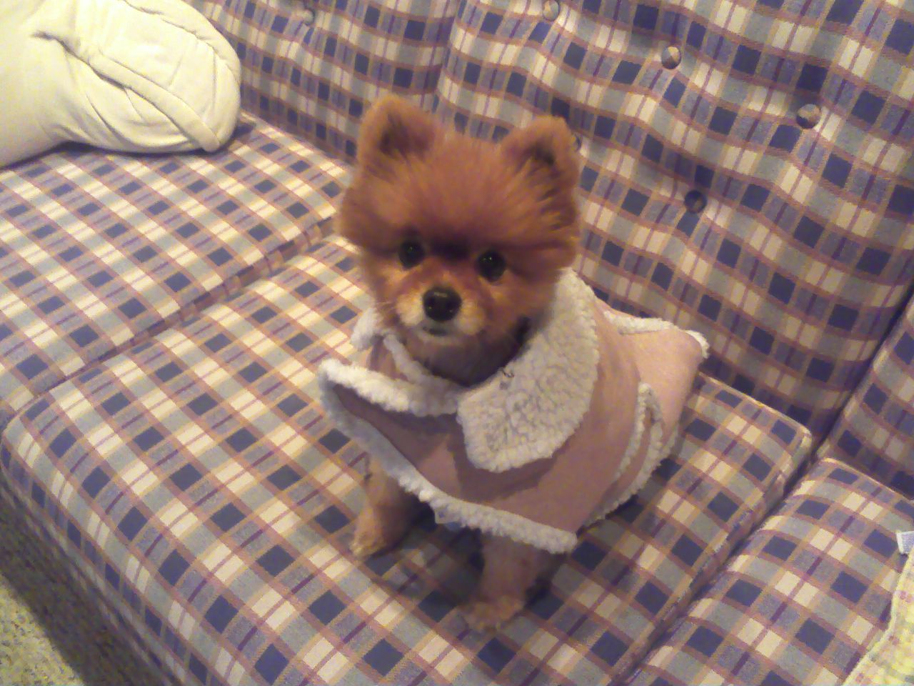 enter image description here