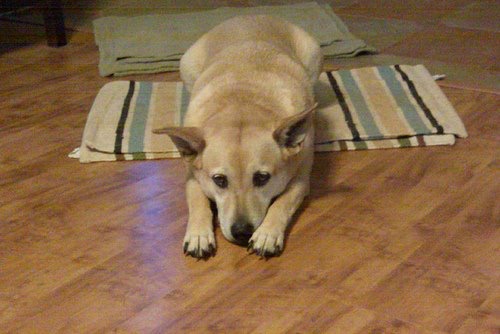 This is Trinity and she stays pretty pouty