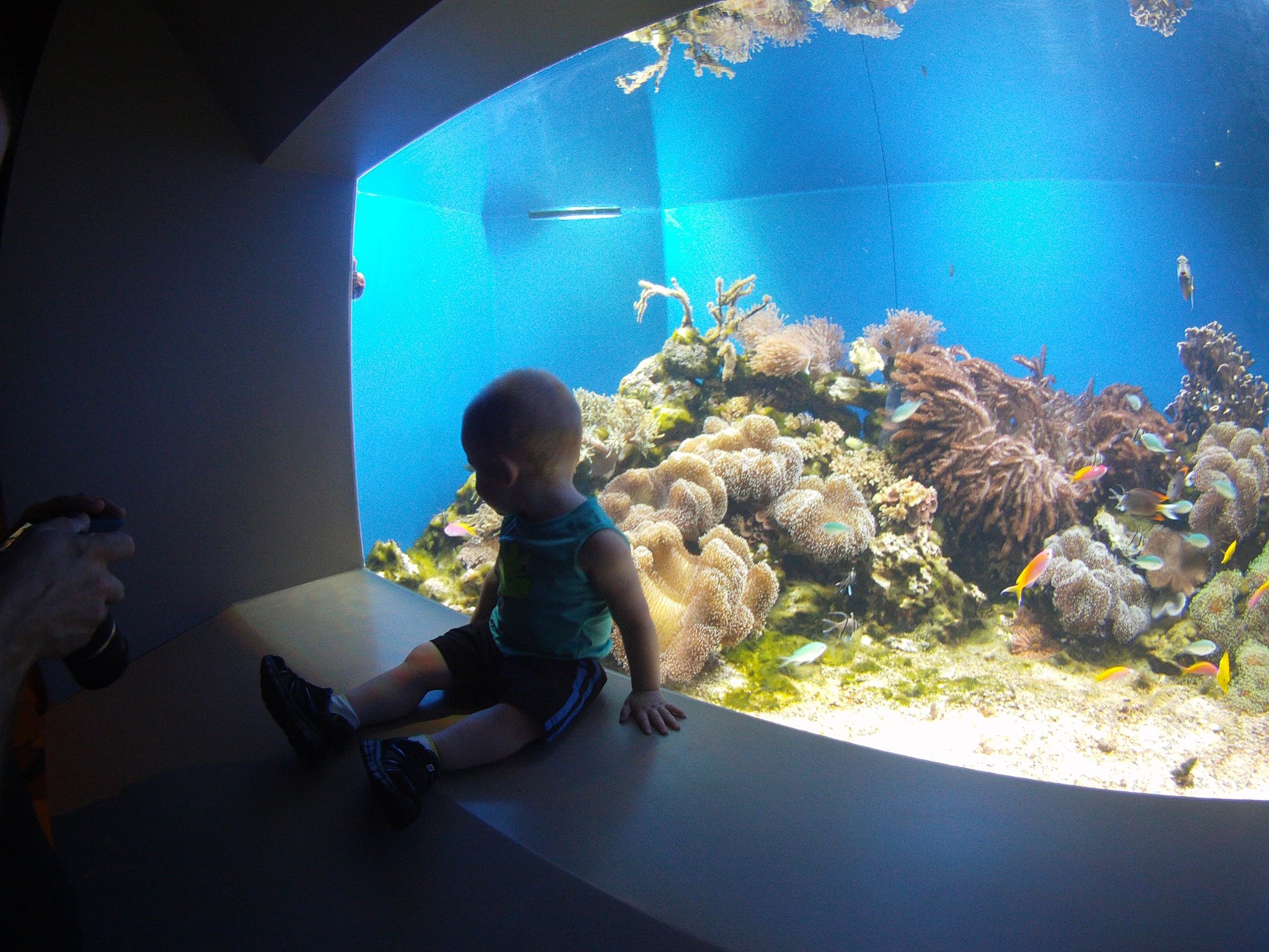 Here's a shot he took of his brother with that Nabi for when people need a point of reference the next time you carry them...