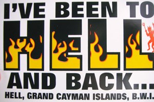 ...maybe this one...