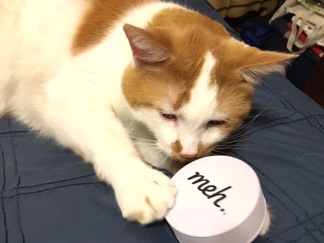 Also Sunny more and more into the Fuko the more he woke up.