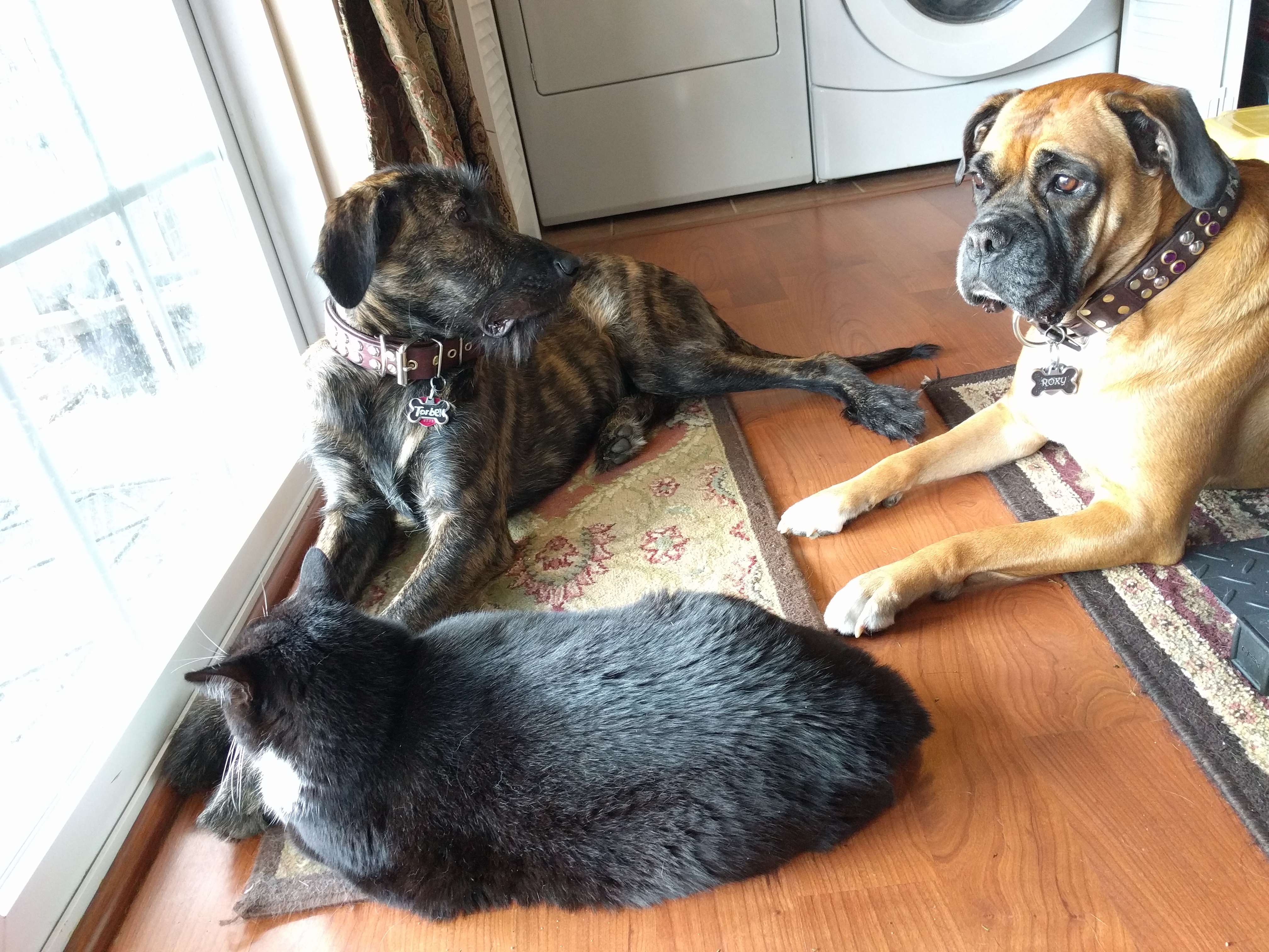 enter image description here