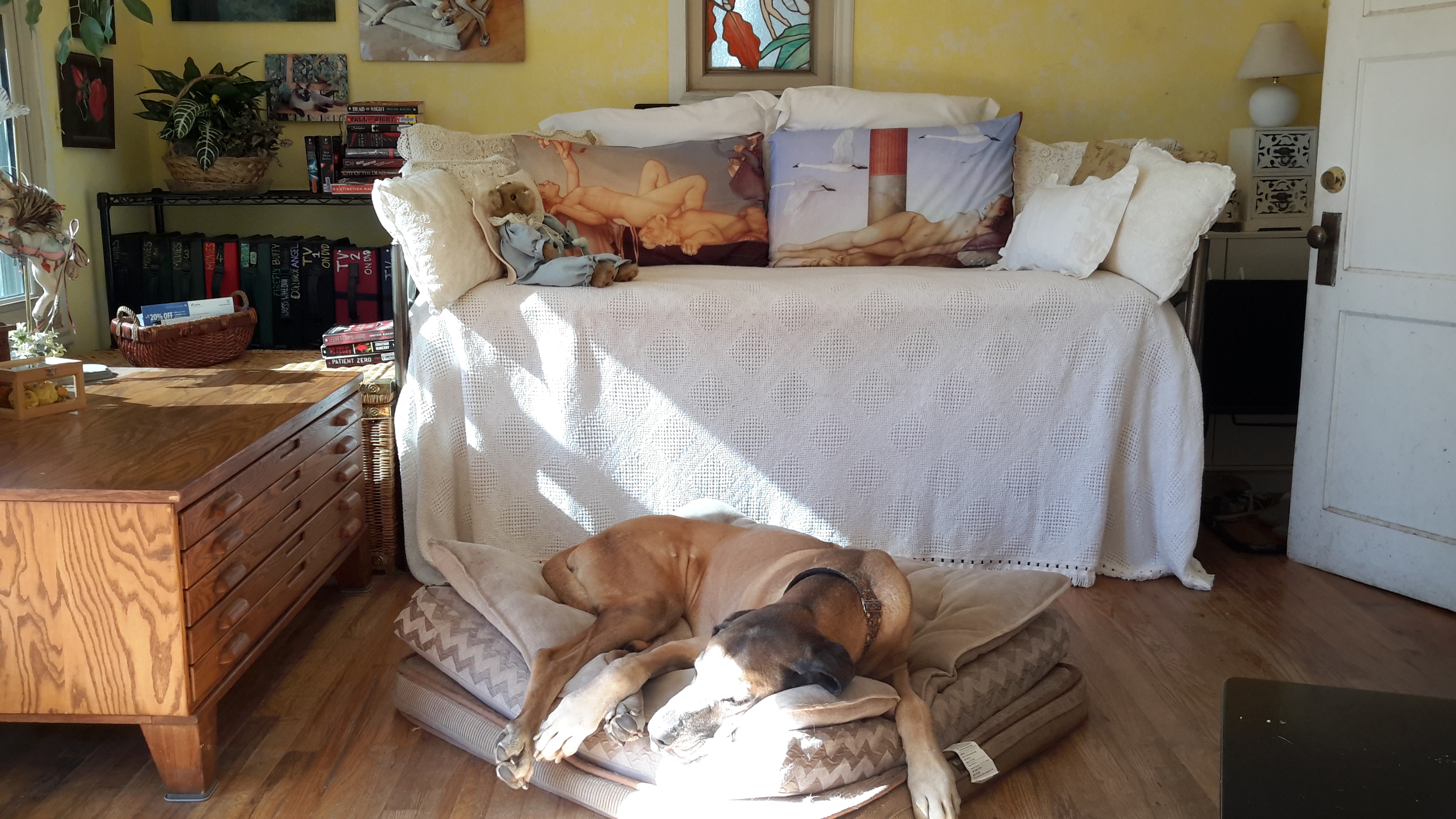 enter image description here