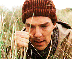 /giphy quilted-melancholy-barley