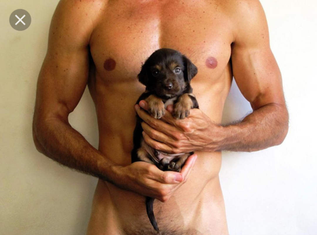 nice puppy...