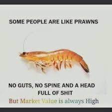 magical-unjust-prawn