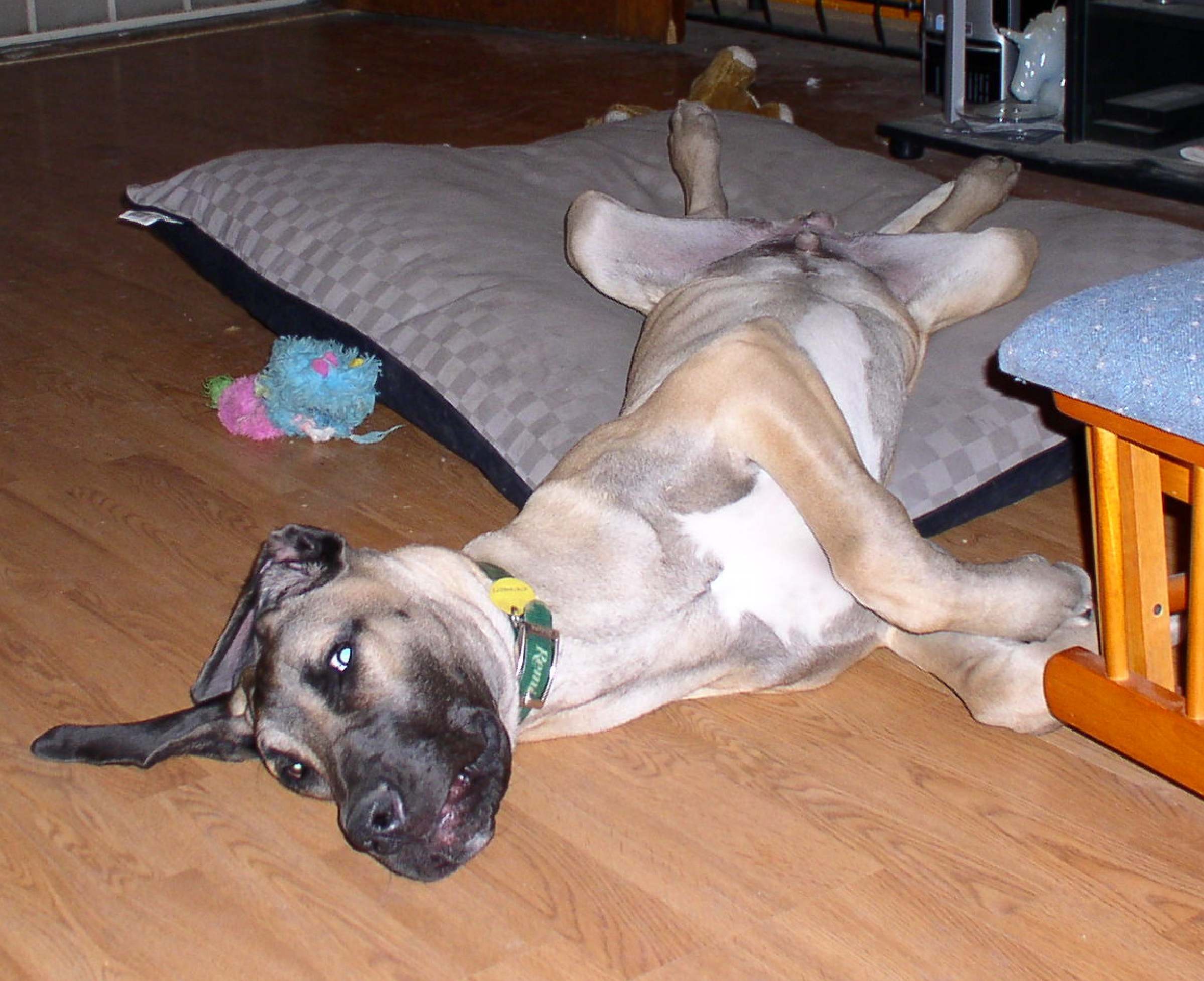 enter image description here