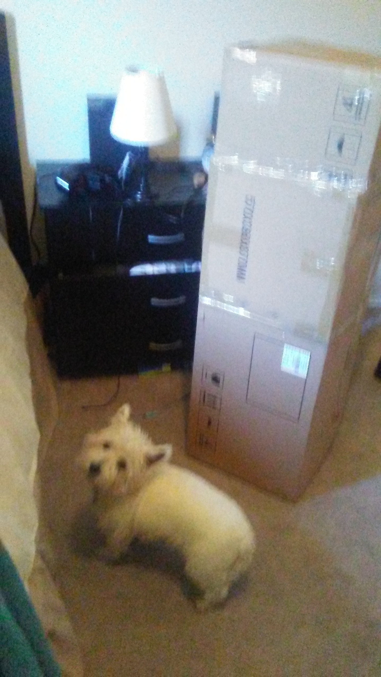 Bigass box came in the mail today.