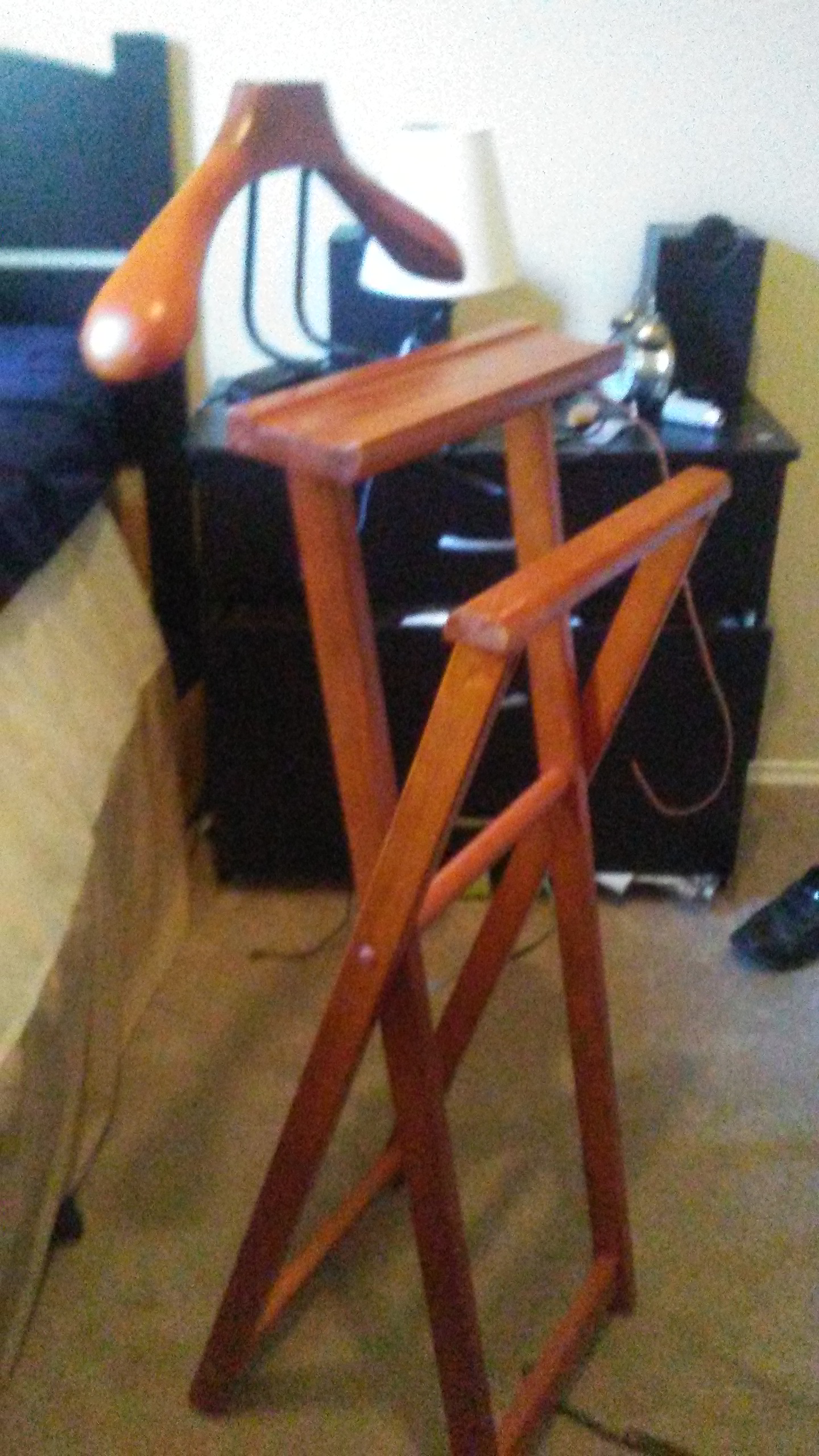 Can anybody tell me what the hell this thing even is?