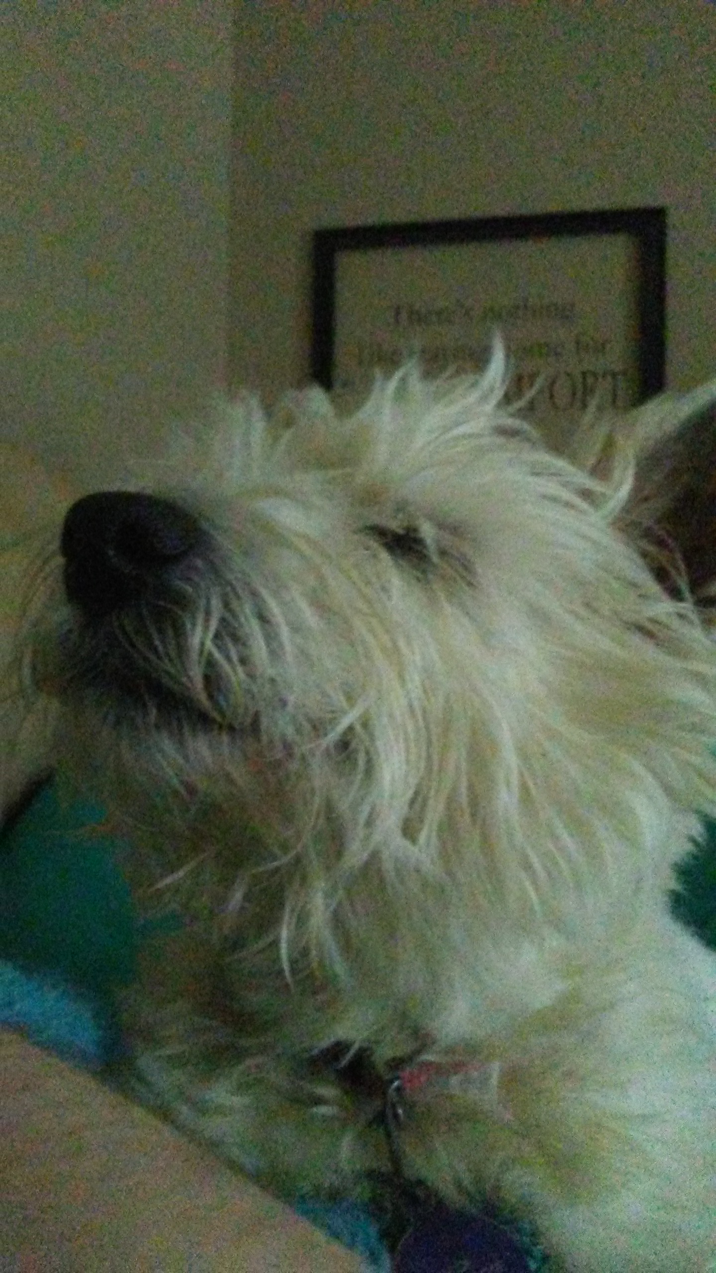 When the Fuko is just right.