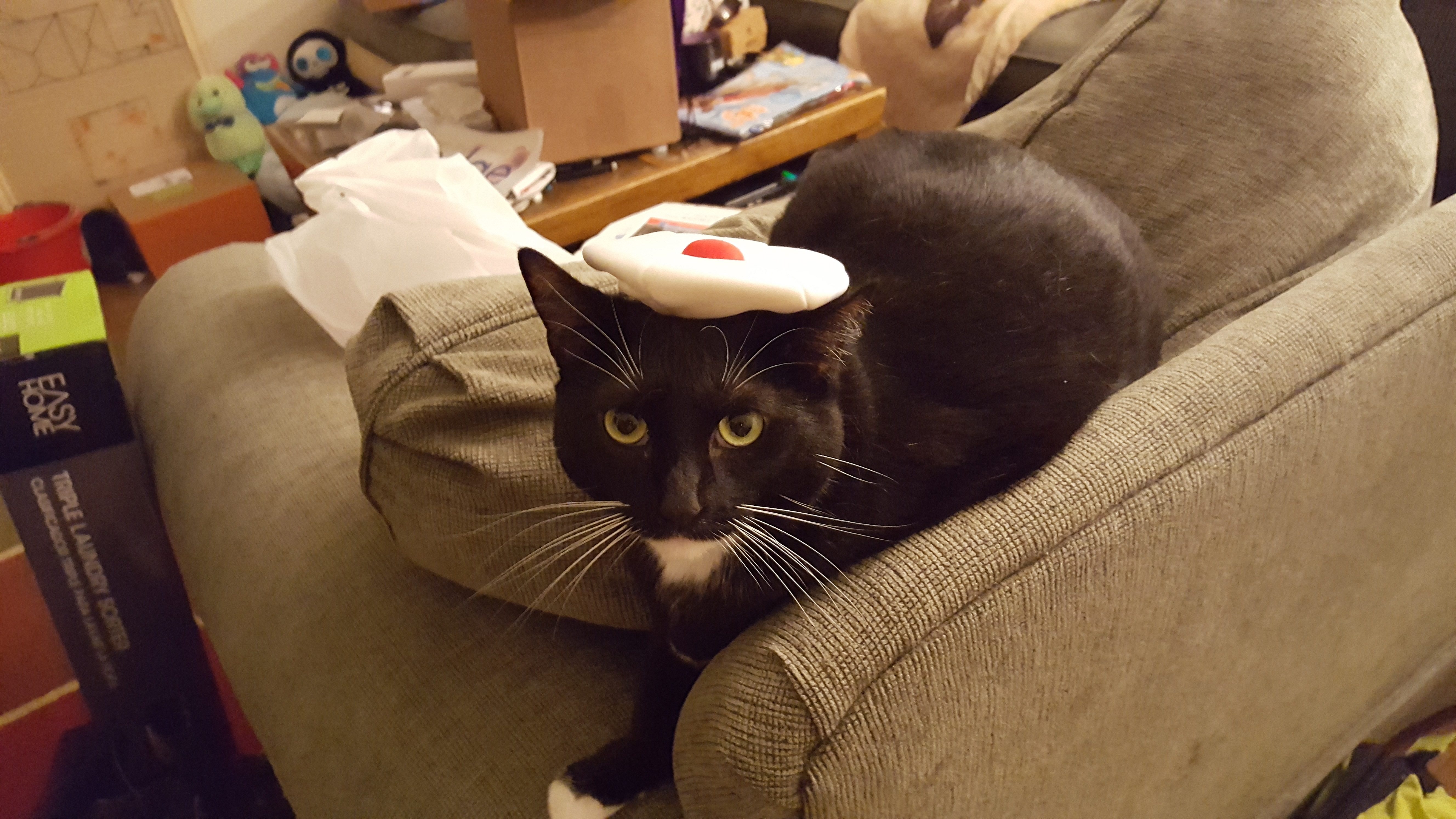 enter image description here