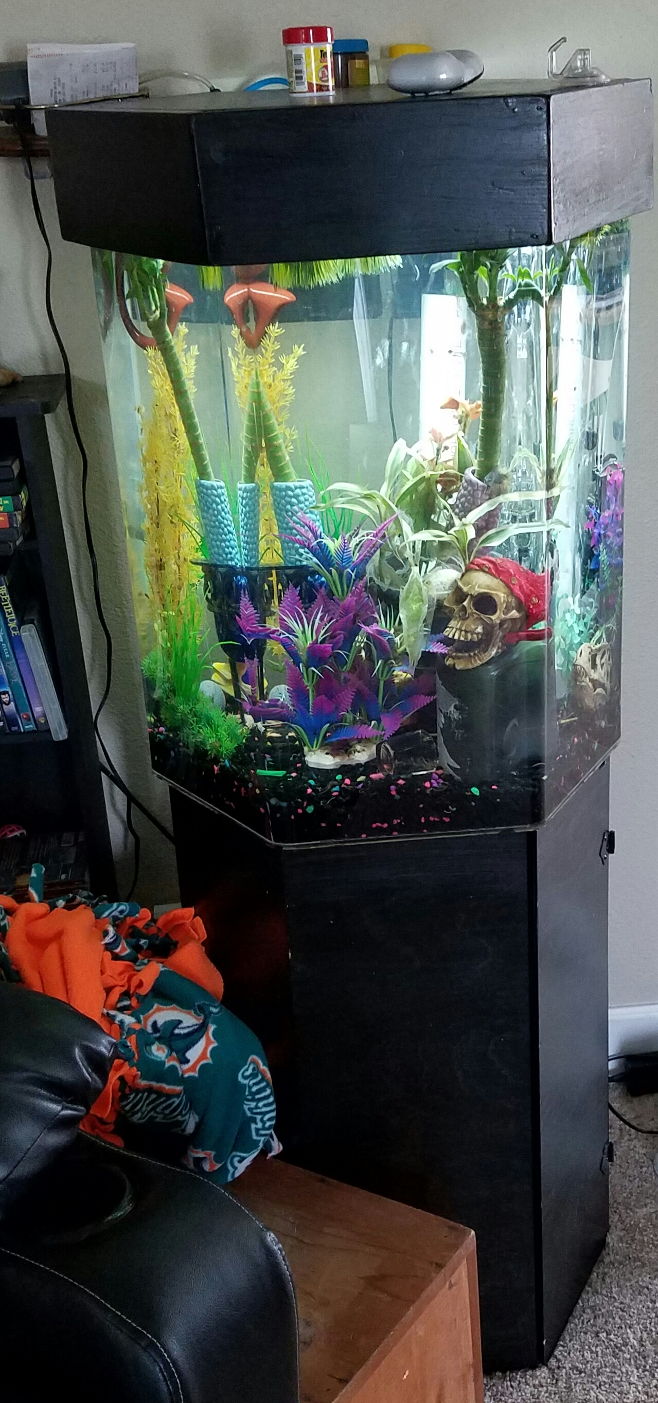 Heres the whole tank.If you watch youtube videos on people who  catch these fish in Sumatra? (I think?) They live in shallow murky waters. They almost always land multiple bettas in 1 net. Meaning they do coexist w other bettas. They still squabble and chase each other but not a fight to the death. + I think theyre the most attractive fish to have. Ill post my 50 gallon betta tank when its done.