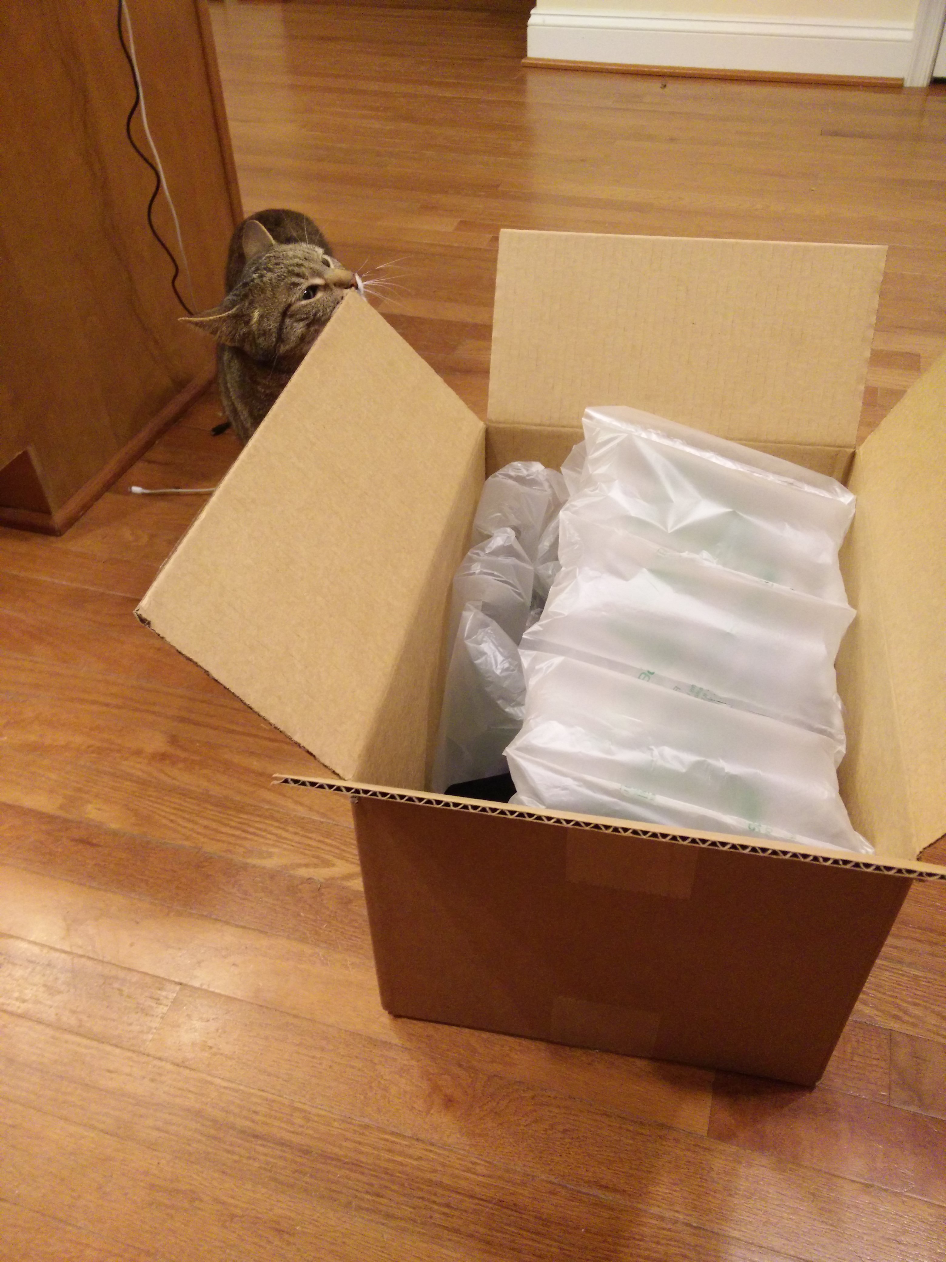 My cat face rubbing the box