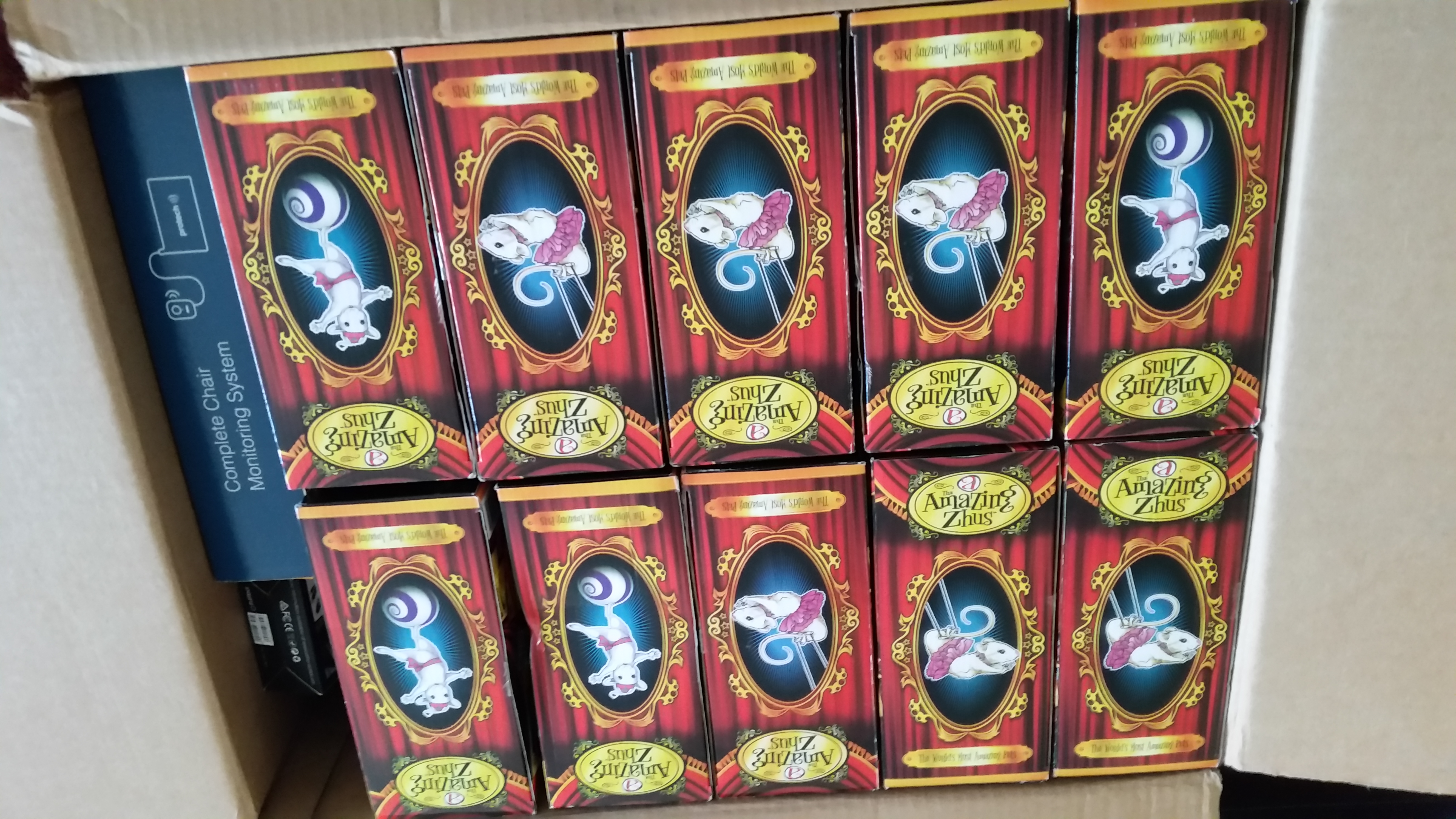 This is... uh, what?