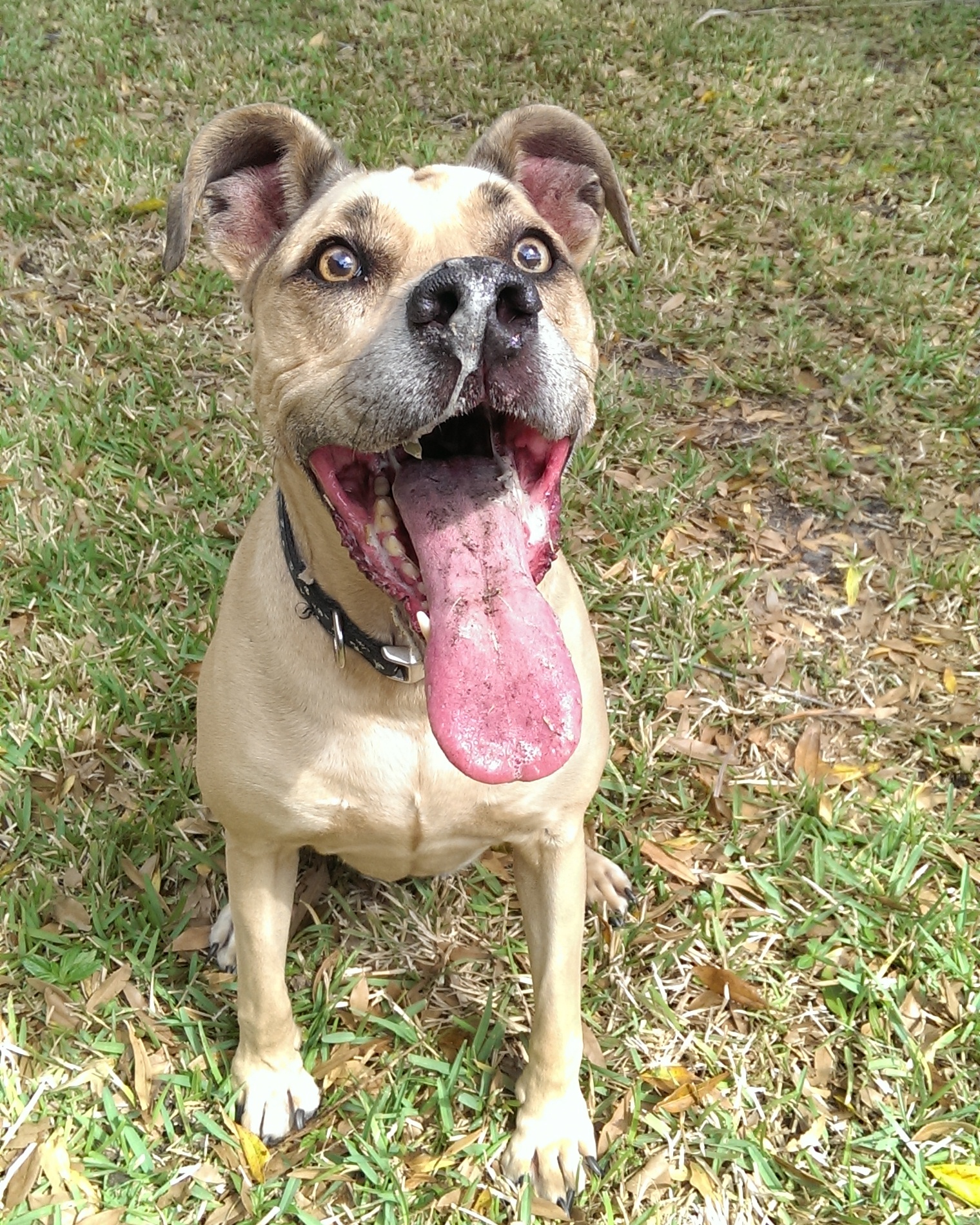 enter image description here